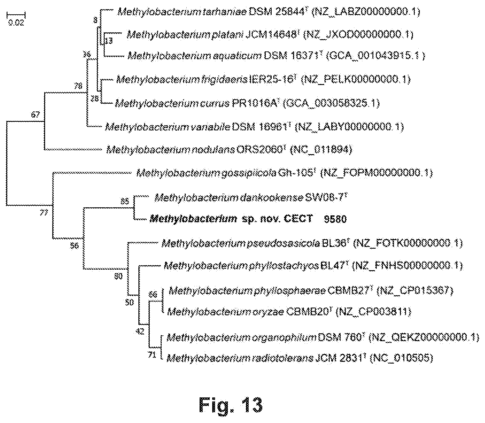 Patent US12426600 Figure 8 – Methylobacterium sp. nov. strain, compositions comprising it, and its use as bio-stimulant and endophyte nitrogen-fixing bacterium