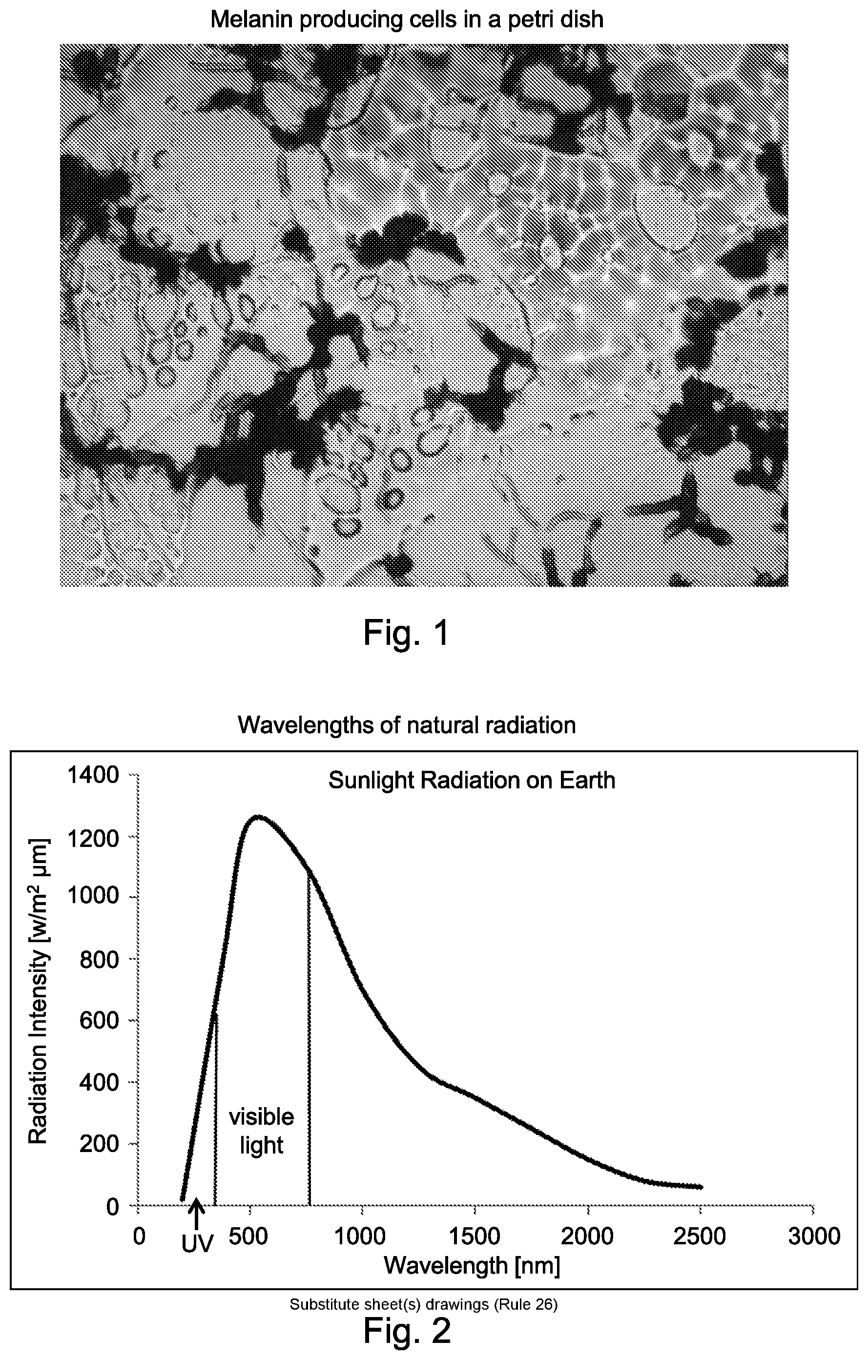 Patent US12426601 Figure 1 – Functional microbiological coating