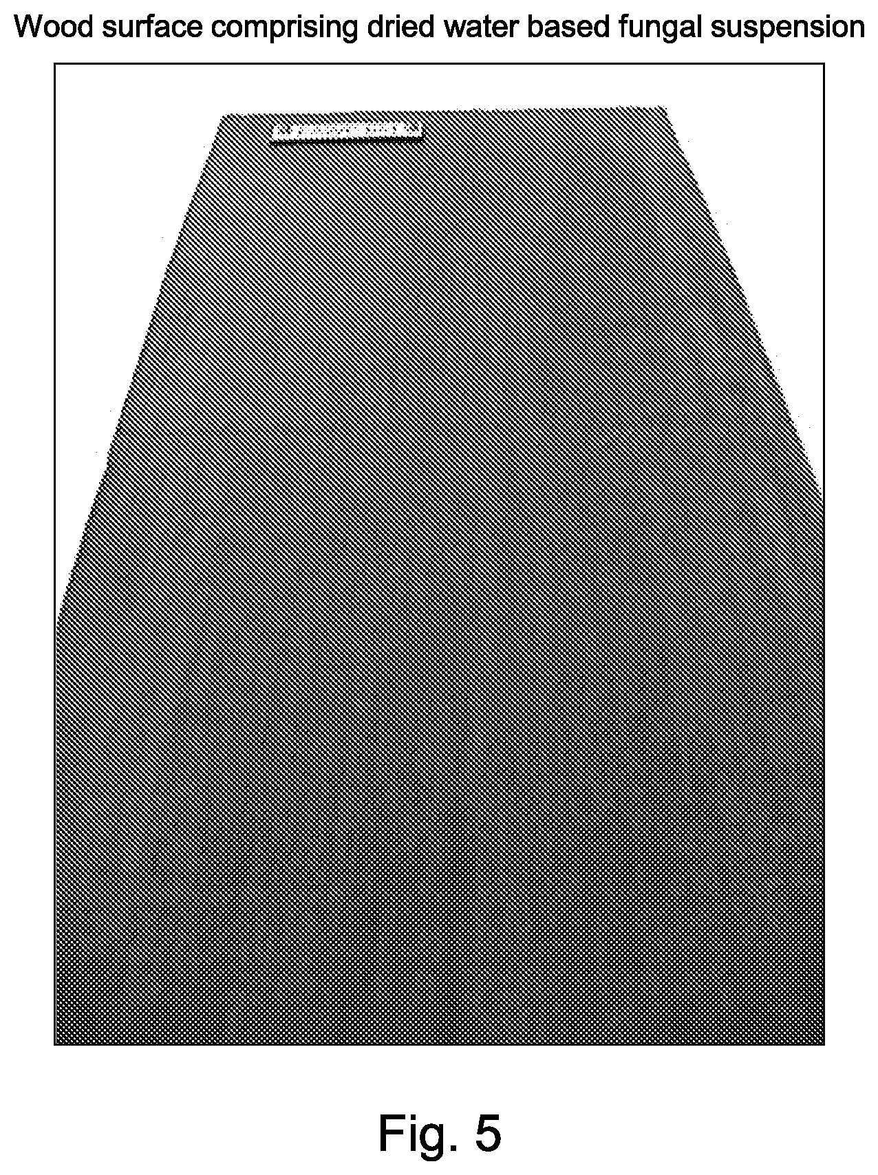 Patent US12426601 Figure 3 – Functional microbiological coating