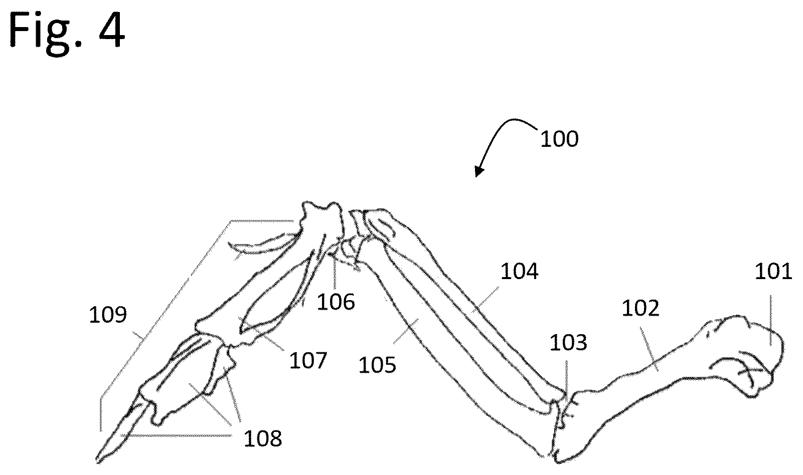 Patent US12426606 Figure 4 – Joint cutting apparatus