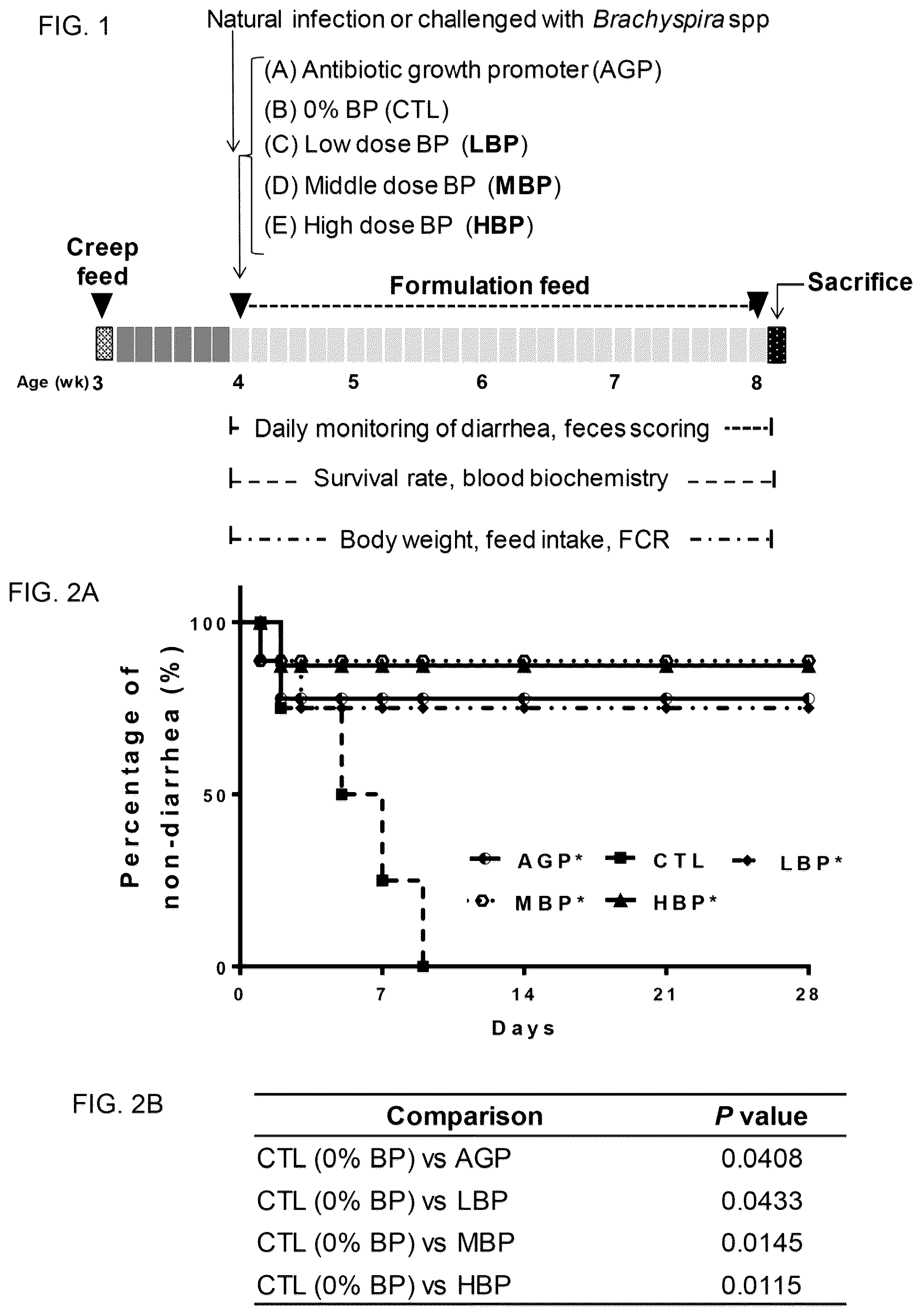 Patent US12426612 Figure 1 – Bidens pilosa and its phytochemicals for use in prevention and treatment of diarrhea