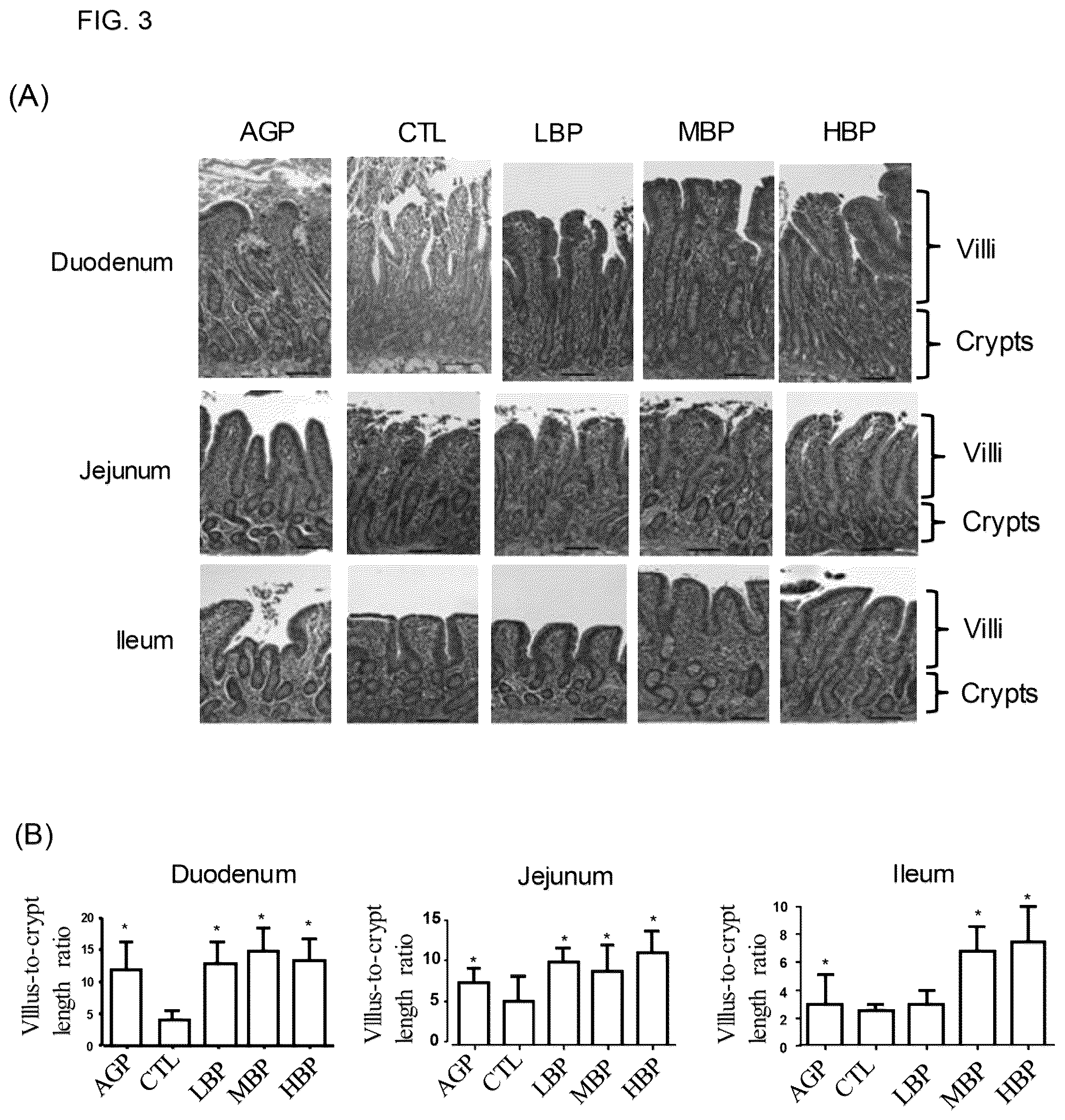 Patent US12426612 Figure 2 – Bidens pilosa and its phytochemicals for use in prevention and treatment of diarrhea