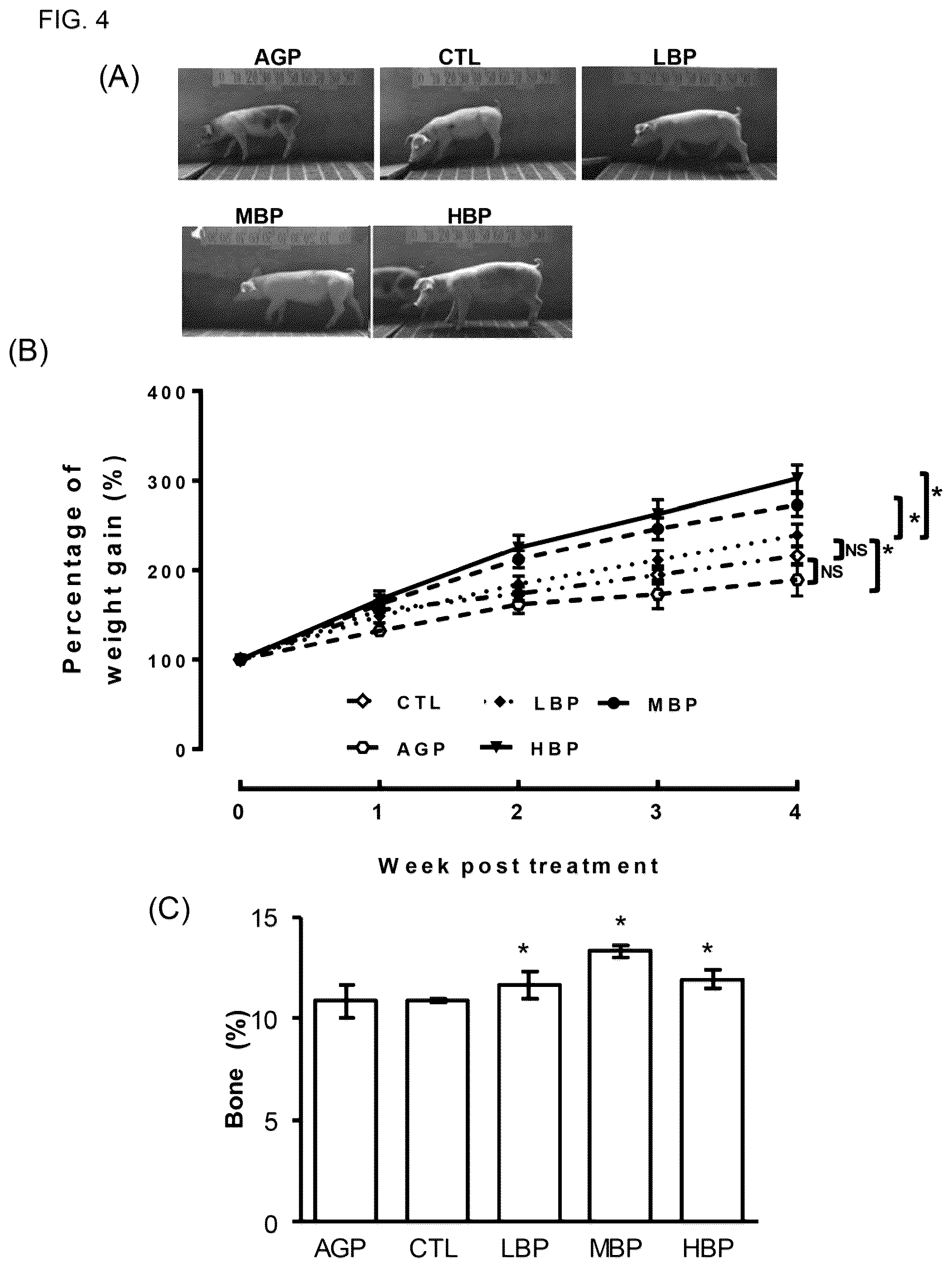 Patent US12426612 Figure 3 – Bidens pilosa and its phytochemicals for use in prevention and treatment of diarrhea