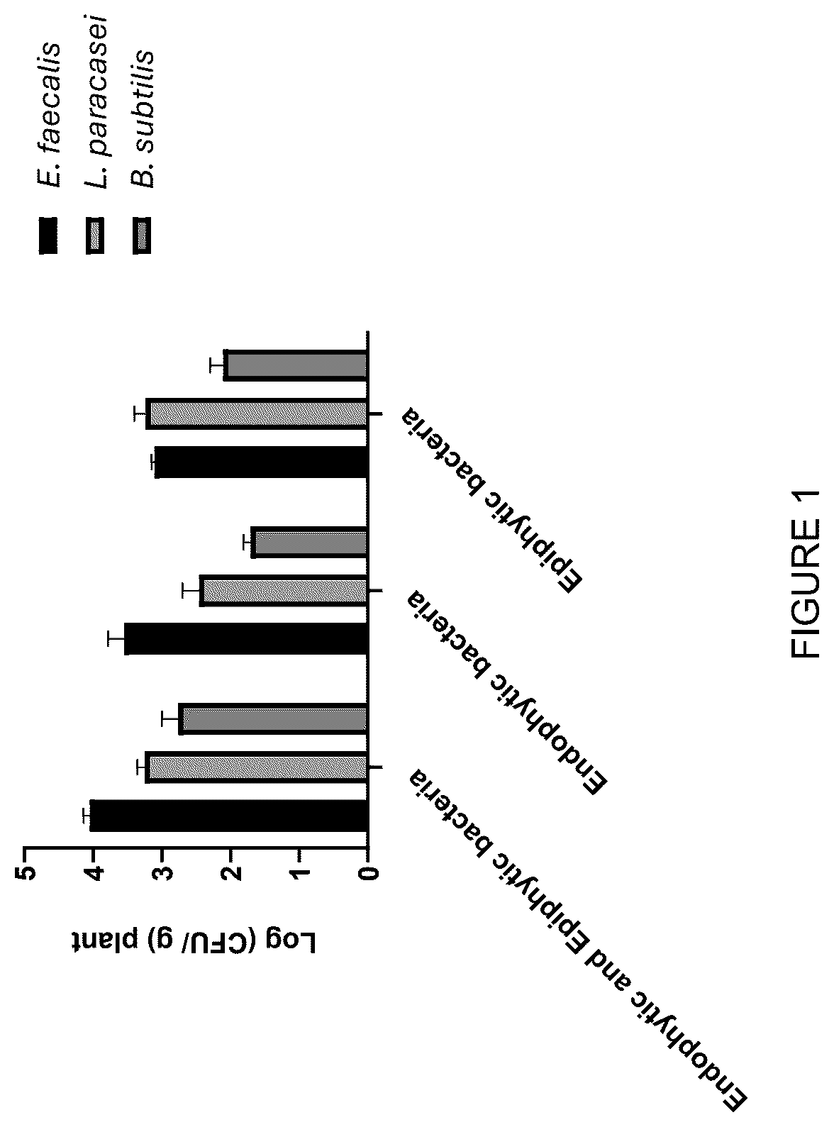 Patent US12426616 Figure 1 – Edible plant parts enriched with probiotic bacteria
