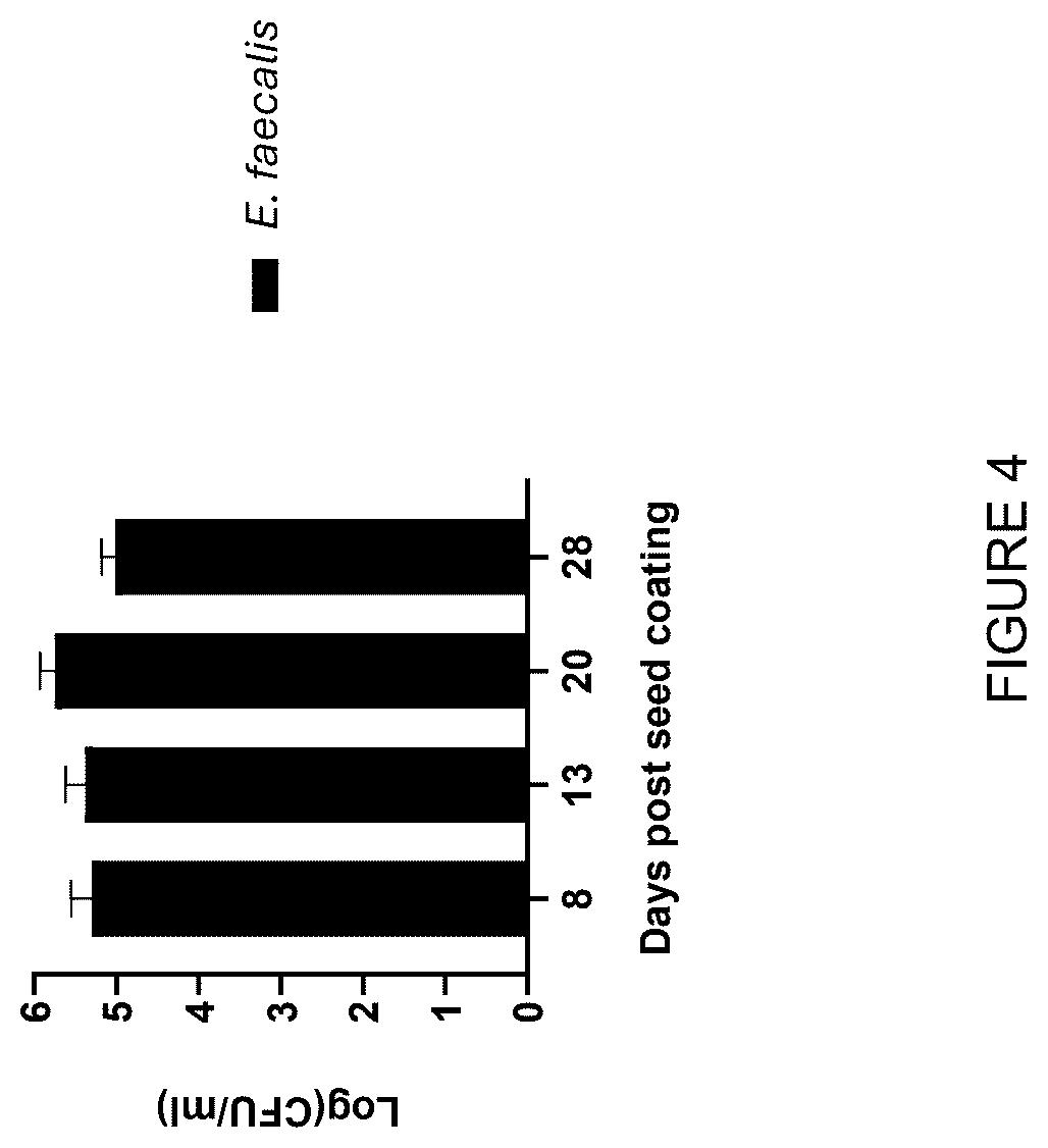 Patent US12426616 Figure 6 – Edible plant parts enriched with probiotic bacteria