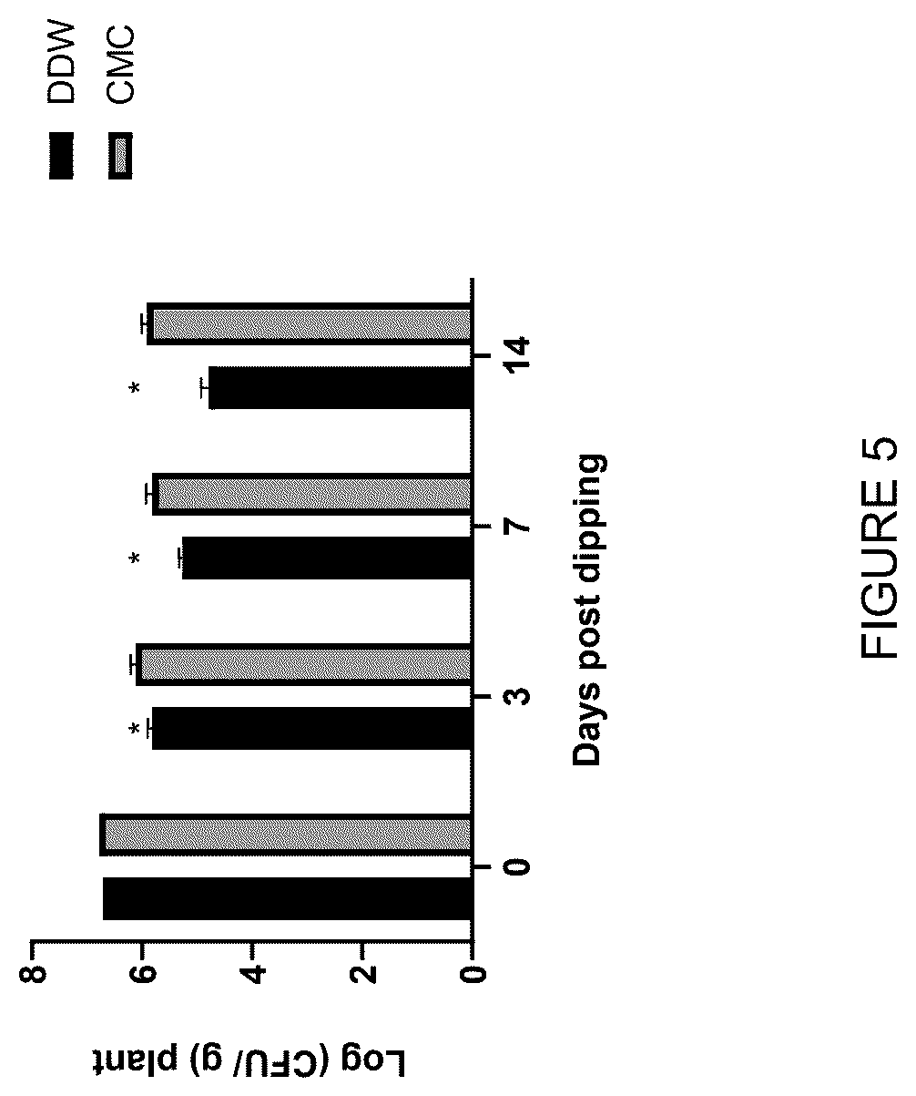 Patent US12426616 Figure 7 – Edible plant parts enriched with probiotic bacteria