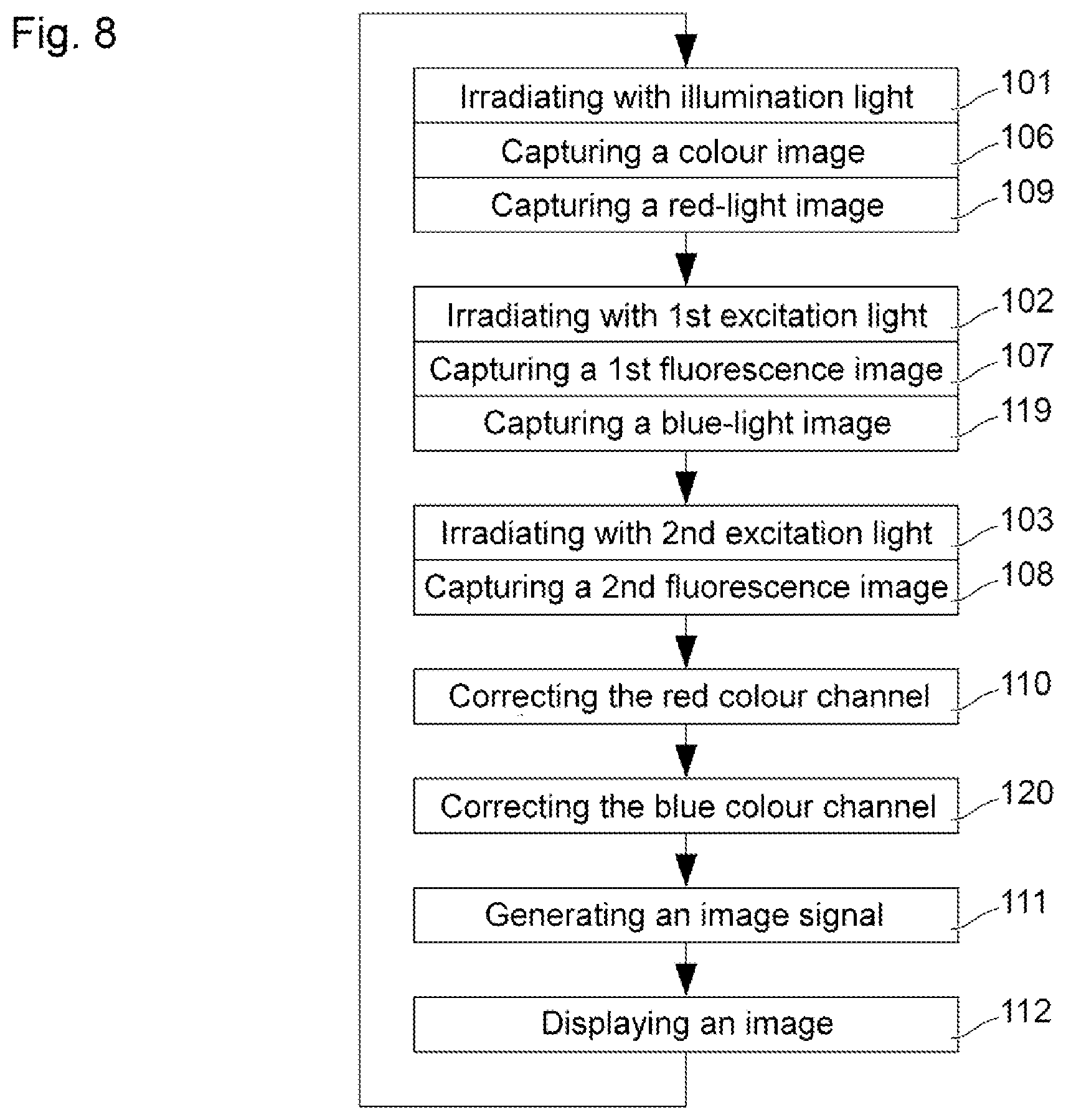 Patent US12426773 Figure 5 – Method and apparatus for capturing images of a medical subject with white light and fluorescent light