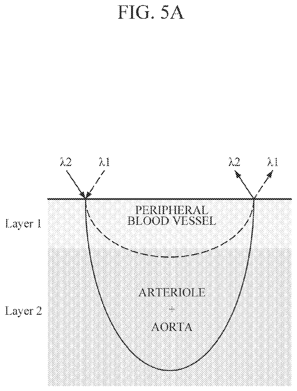 Patent US12426791 Figure 8 – Bio-information measuring apparatus and bio-information measuring method