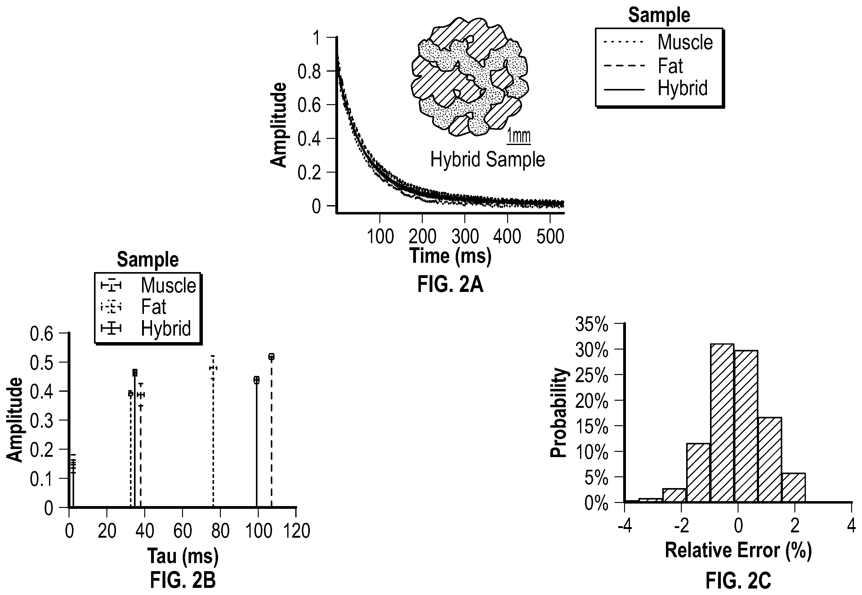 Patent US12426795 Figure 2 – Devices and methods for assessment of fluid distribution in muscle tissue