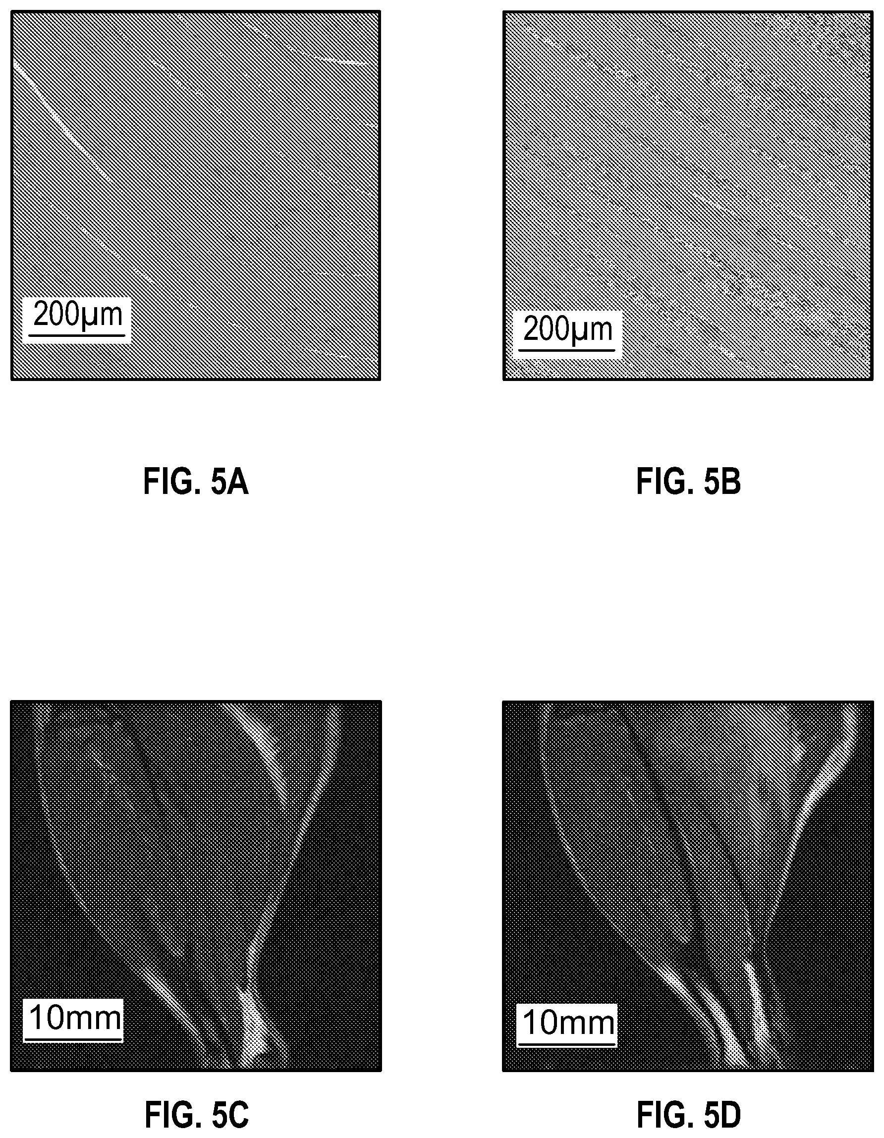 Patent US12426795 Figure 8 – Devices and methods for assessment of fluid distribution in muscle tissue
