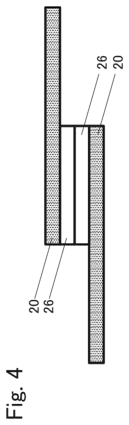Patent US12426820 Figure 2 – Biological electrode