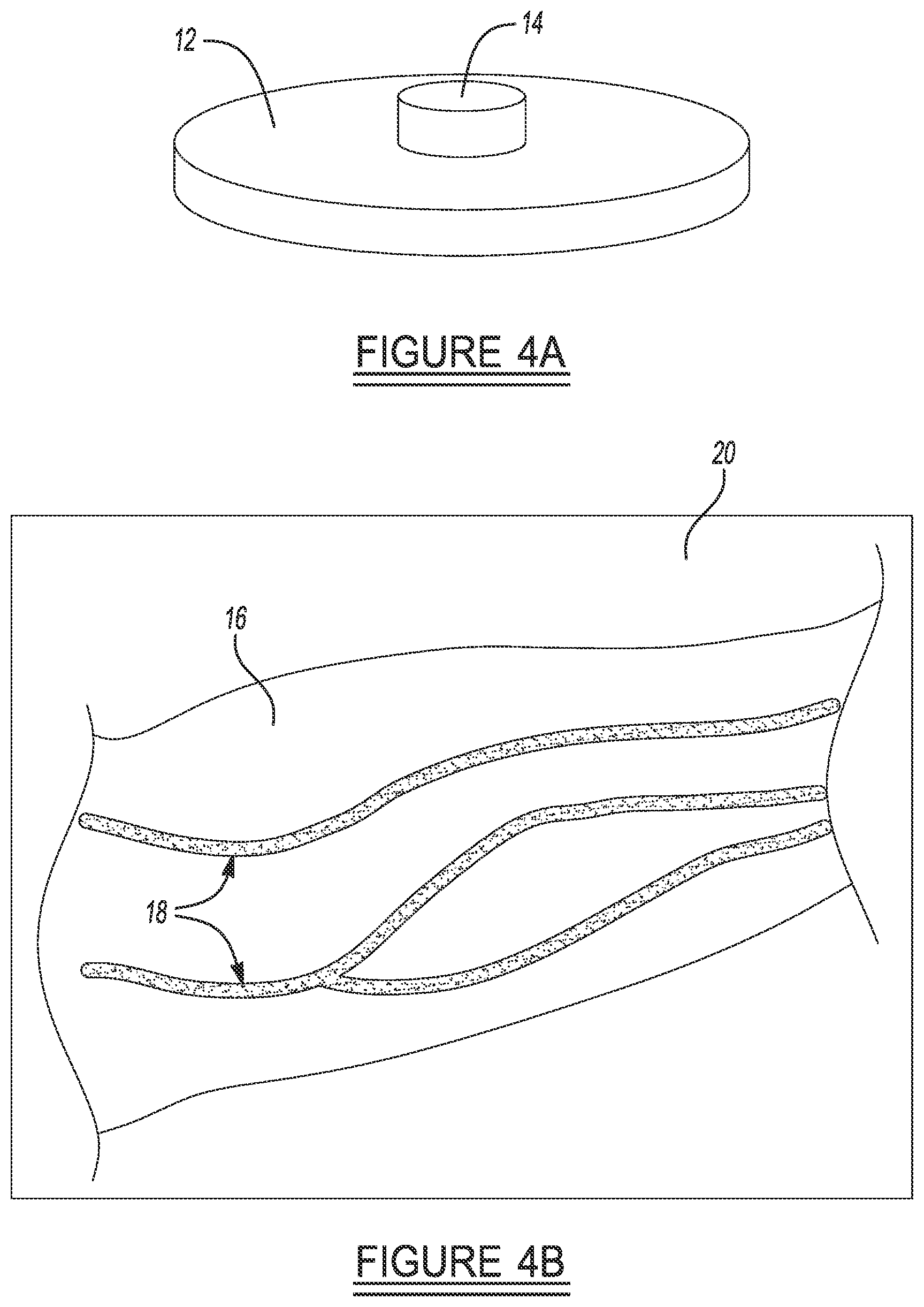 Patent US12426833 Figure 3 – Imaging system and method for enhanced visualization of near surface vascular structures