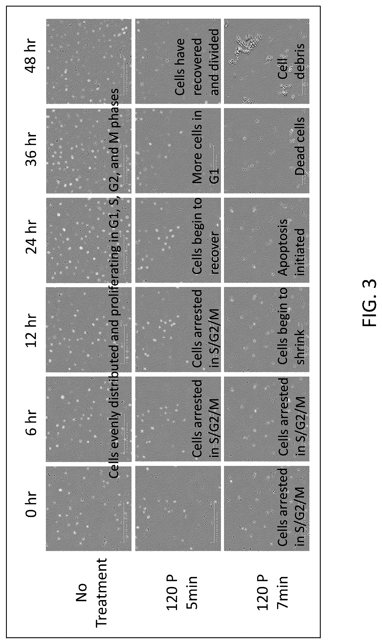 Patent US12426937 Figure 3 – System and method for suppressing apoe gene for sarcoma treatment