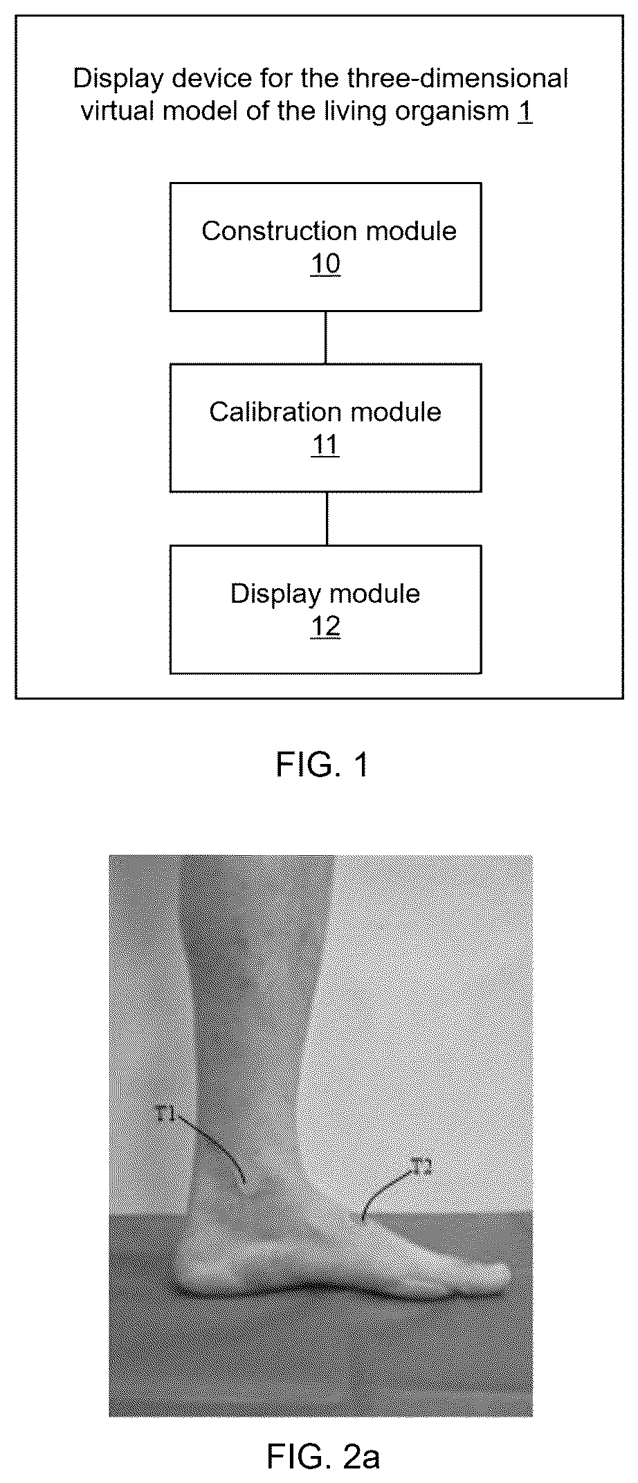 Patent US12426985 Figure 1 – Display device and system for three-dimensional virtual model of living organism, and mixed reality device