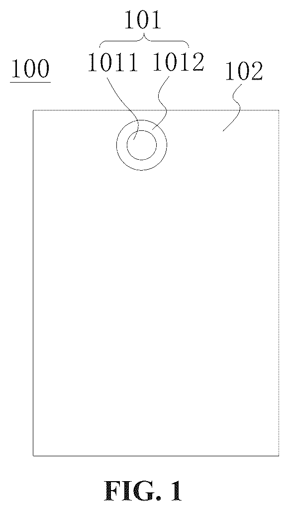 Patent US12433098 Figure 1 – Display panel and display device with reduced thickness of light-emitting layer in display light-transmitting region