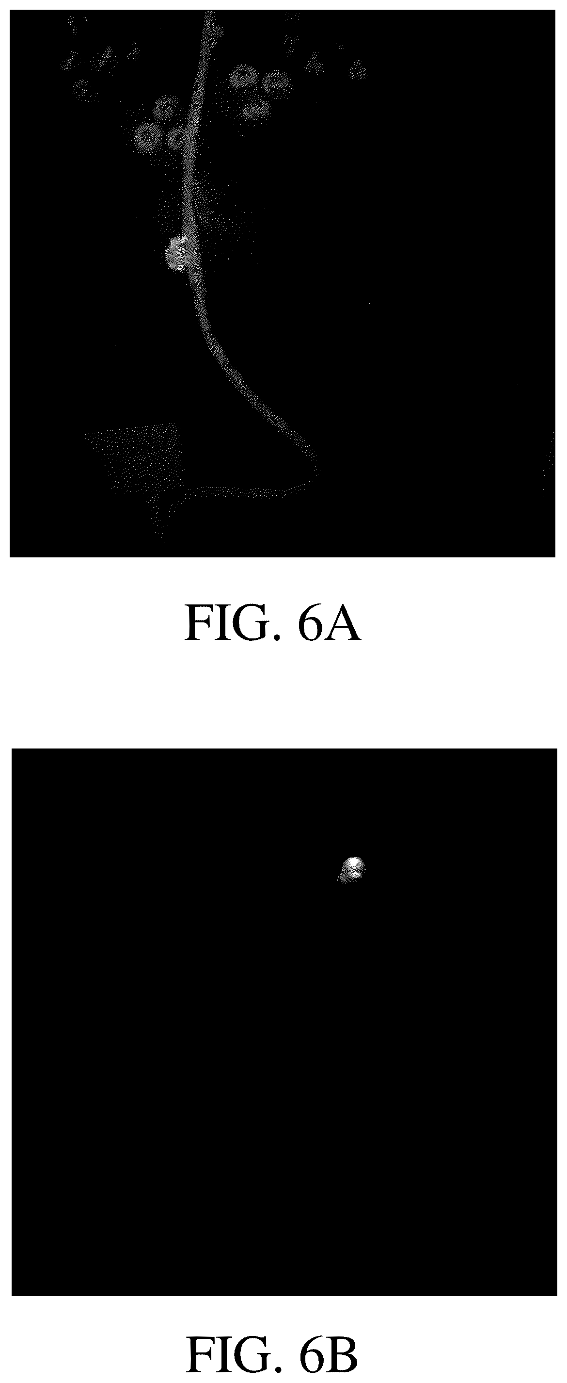 Patent US12437028 Figure 6 – Systems, software and methods for generating training datasets for machine learning applications