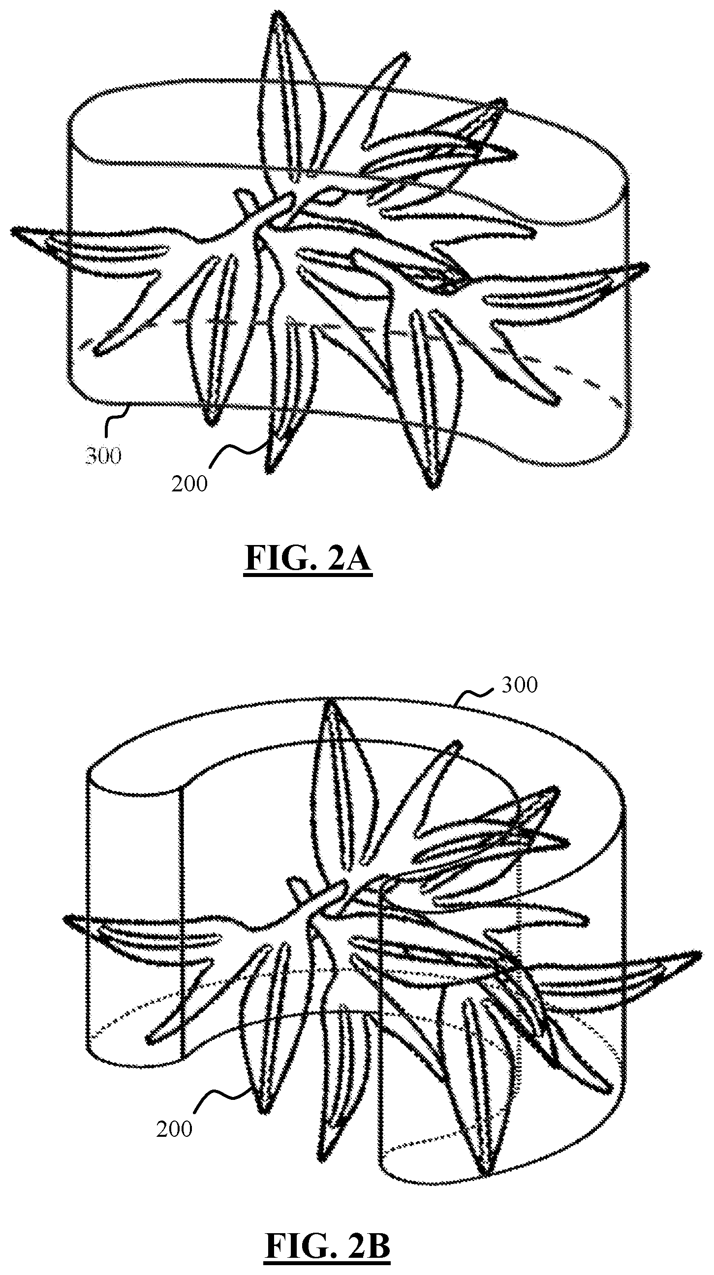 Patent US12437217 Figure 2 – System and method for non-destructive rapid food profiling using artificial intelligence