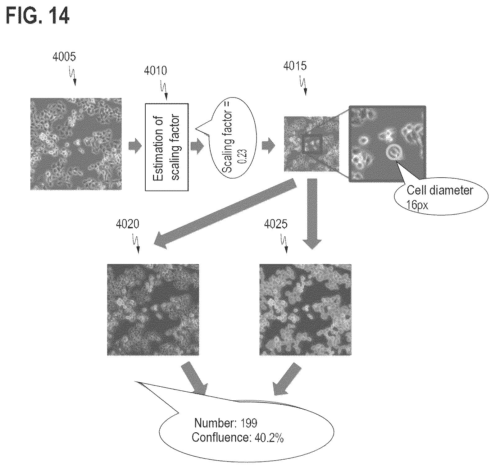 Patent US12437396 Figure 9 – Machine-learned cell counting or cell confluence for a plurality of cell types