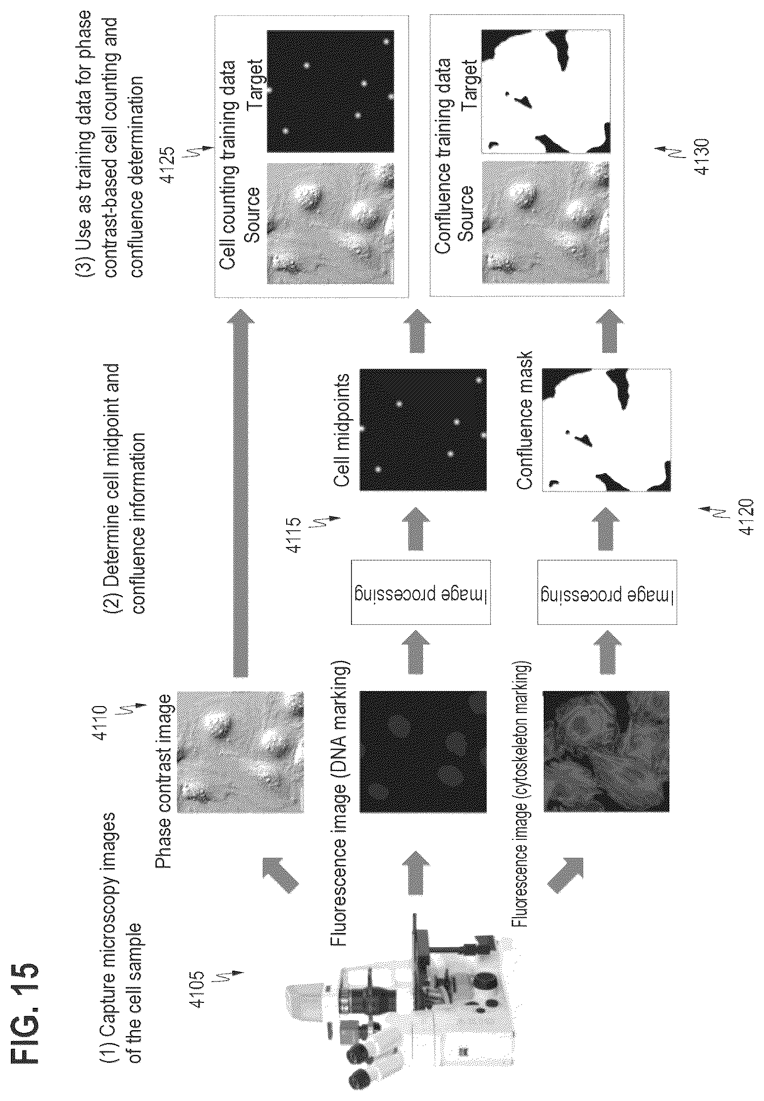 Patent US12437396 Figure 10 – Machine-learned cell counting or cell confluence for a plurality of cell types