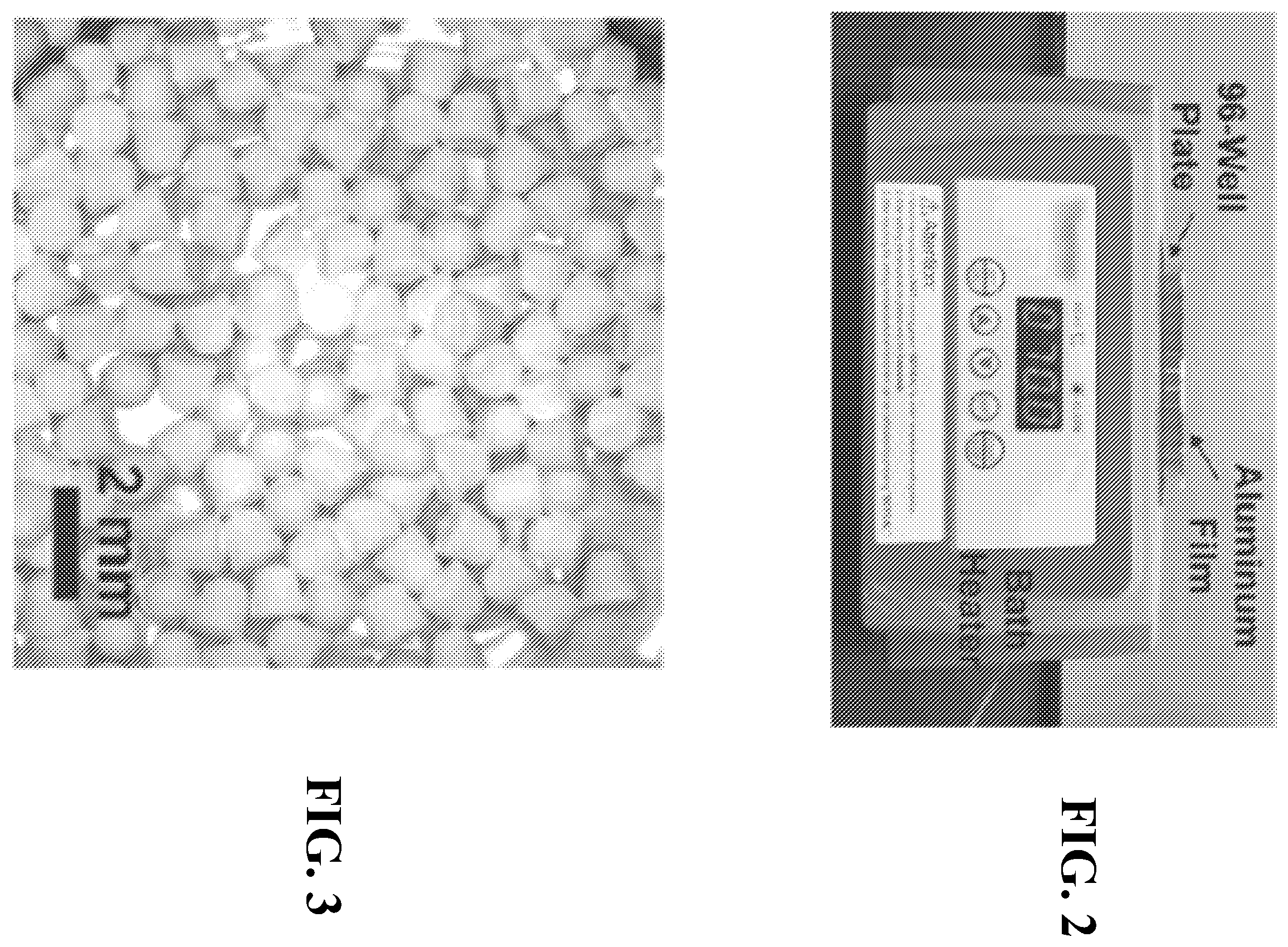 Patent US12437398 Figure 2 – Systems and methods for specimen processing and storage