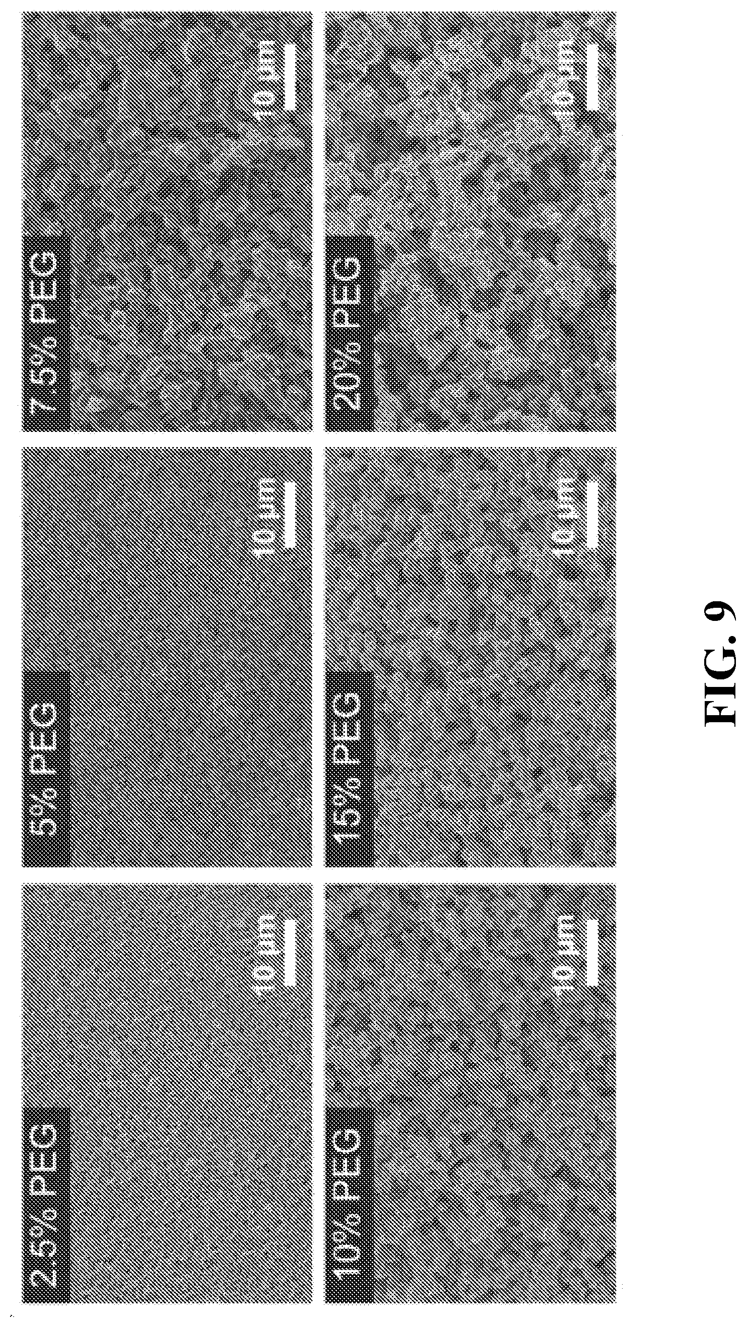 Patent US12437398 Figure 8 – Systems and methods for specimen processing and storage
