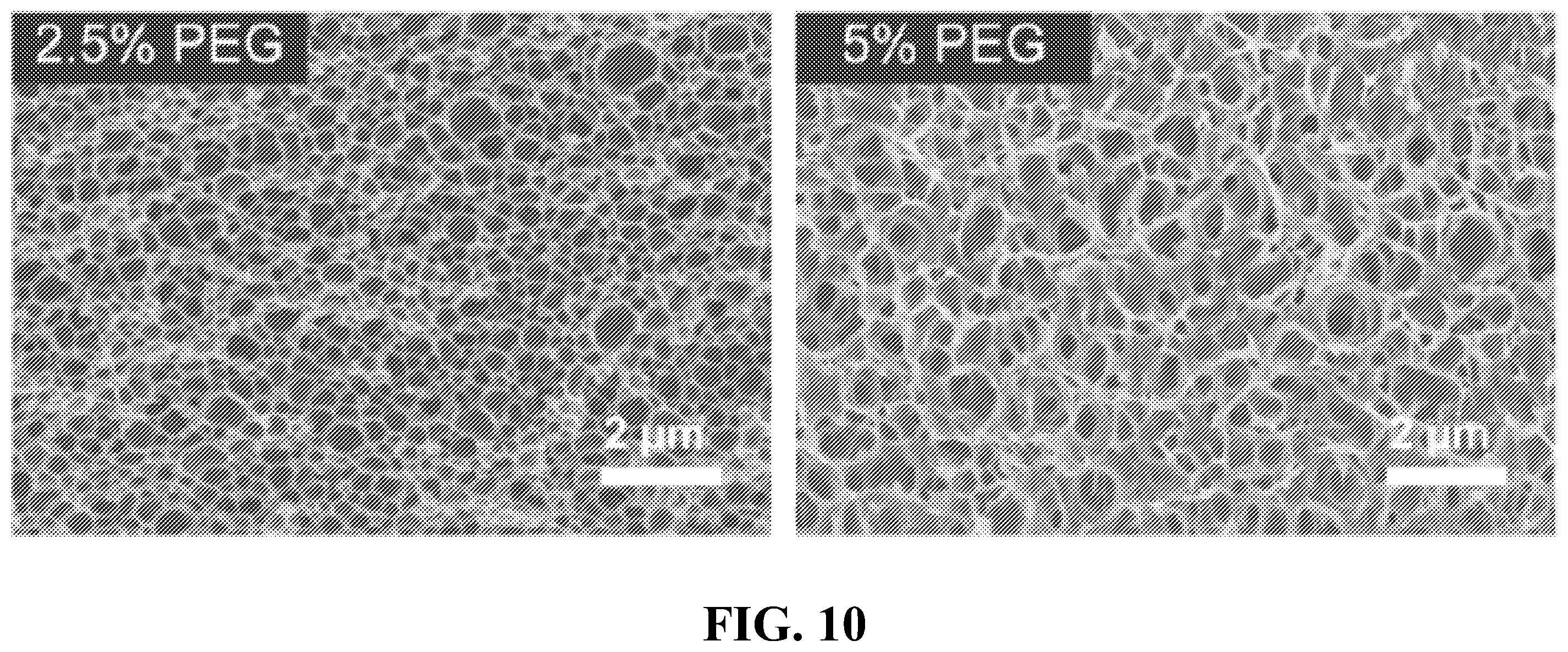 Patent US12437398 Figure 9 – Systems and methods for specimen processing and storage