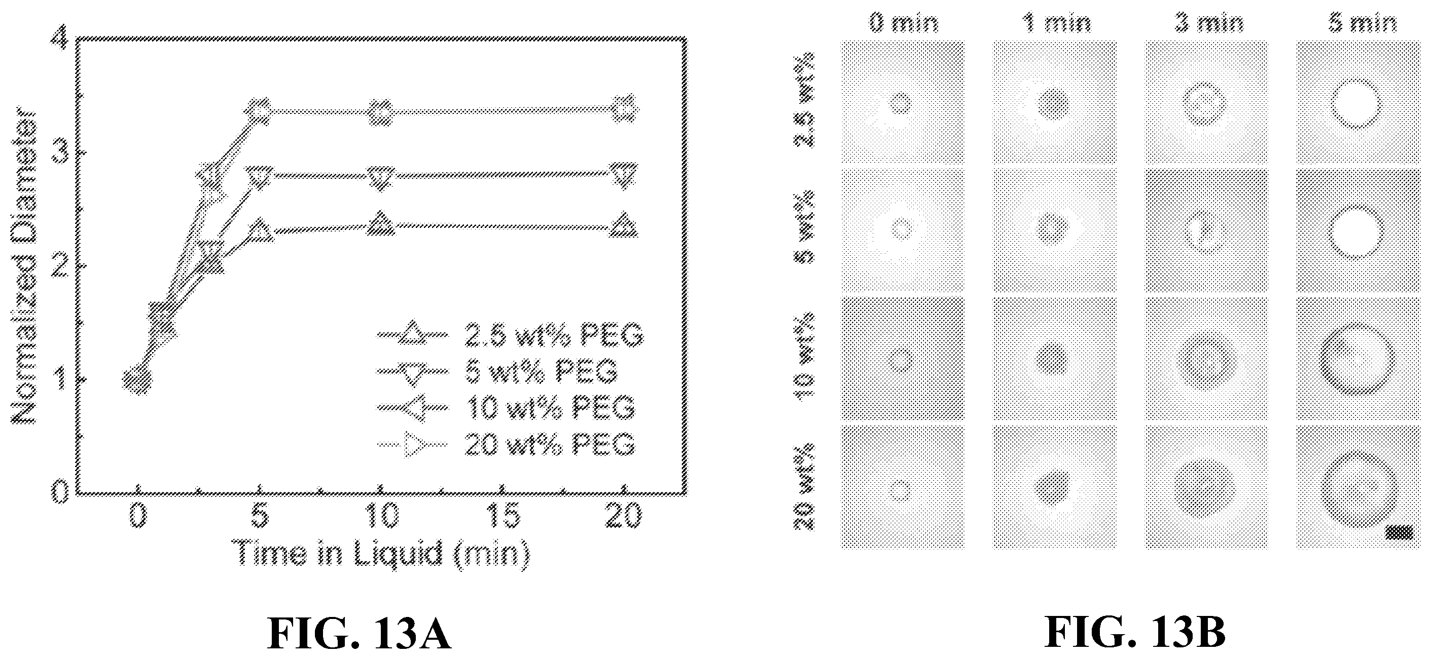 Patent US12437398 Figure 12 – Systems and methods for specimen processing and storage