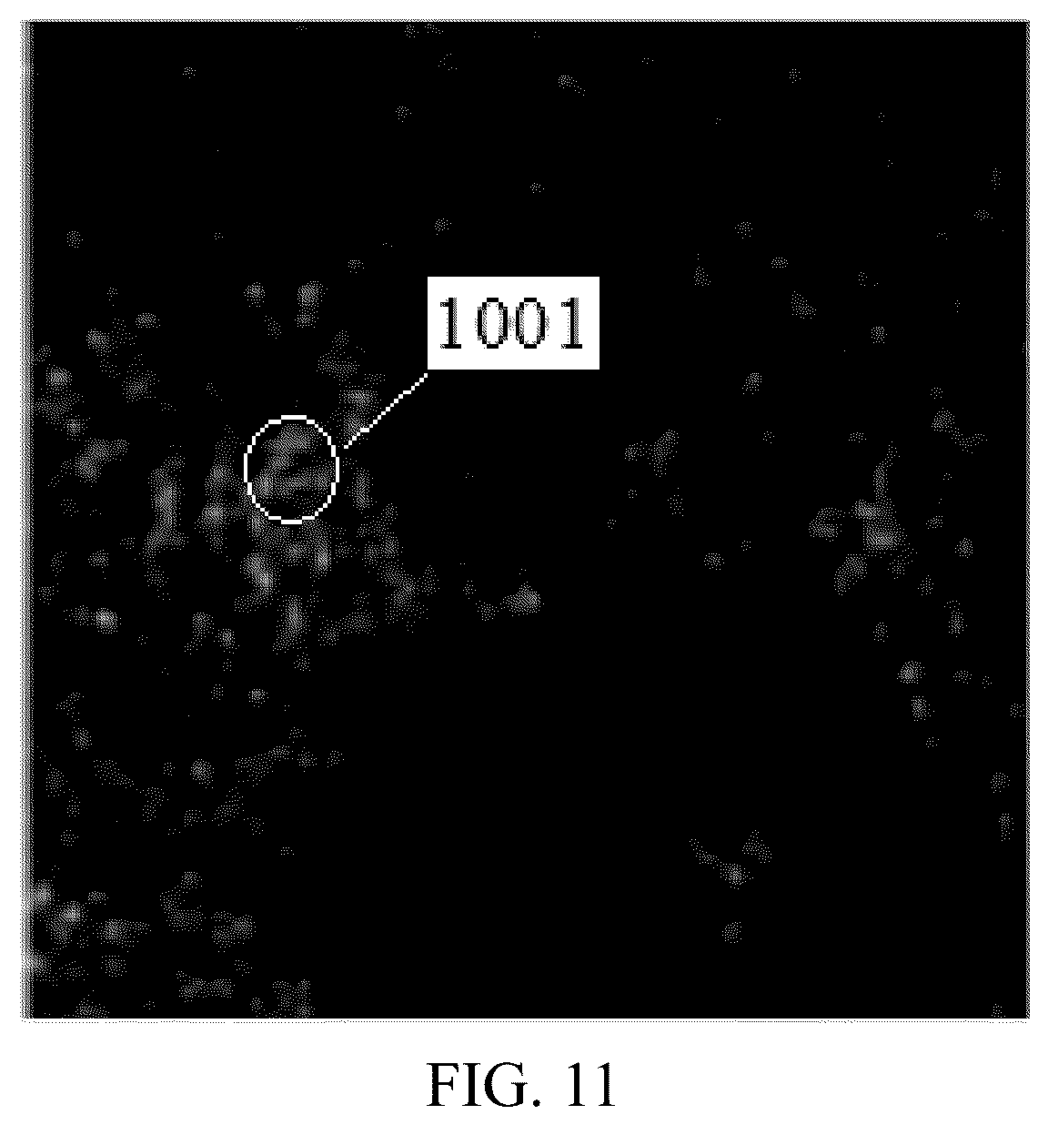 Patent US12437410 Figure 10 – Artificial intelligence-based pathological image processing method and apparatus, electronic device, and storage medium