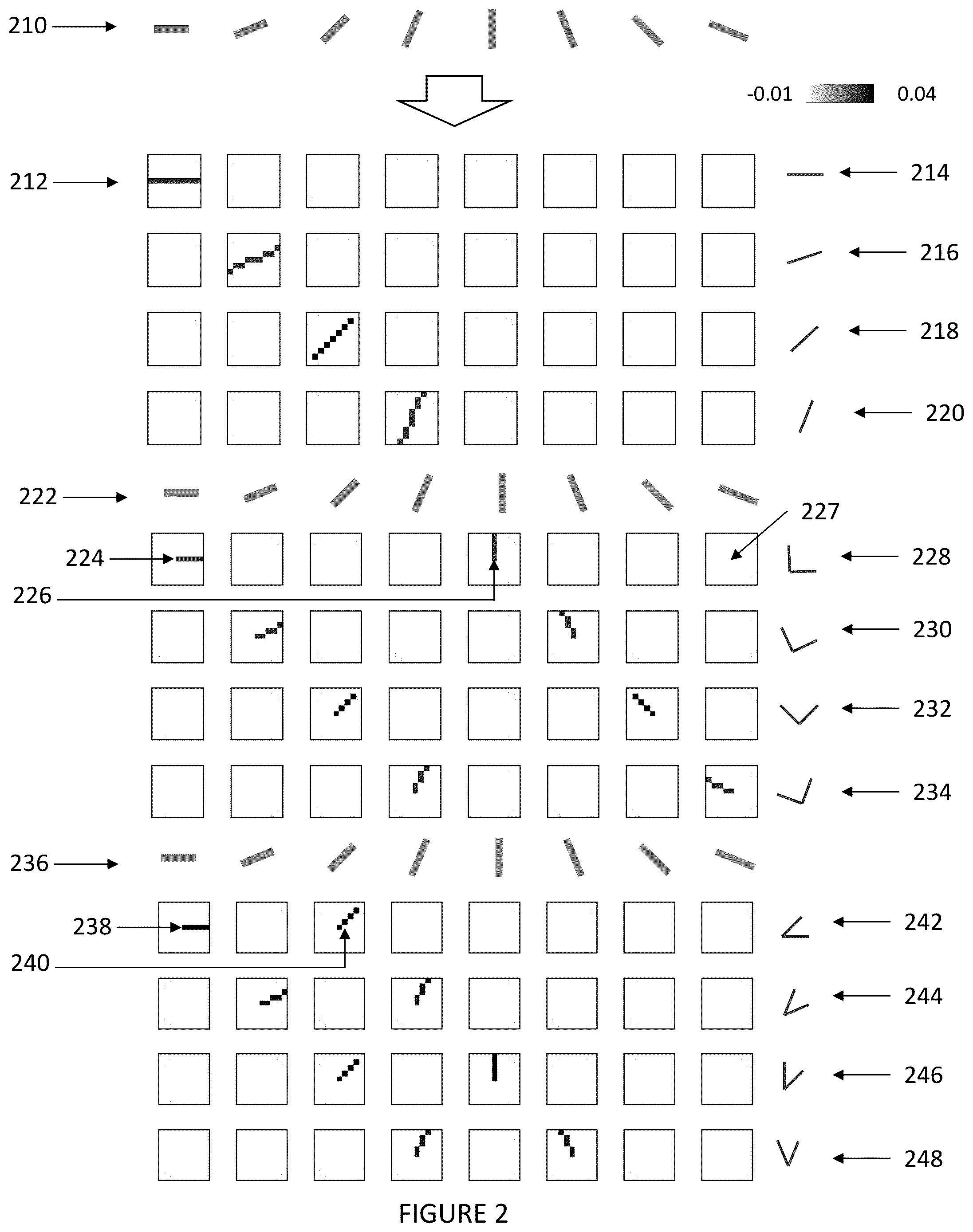 Patent US12437443 Figure 2 – Curvature selective convolution filters for visual processing