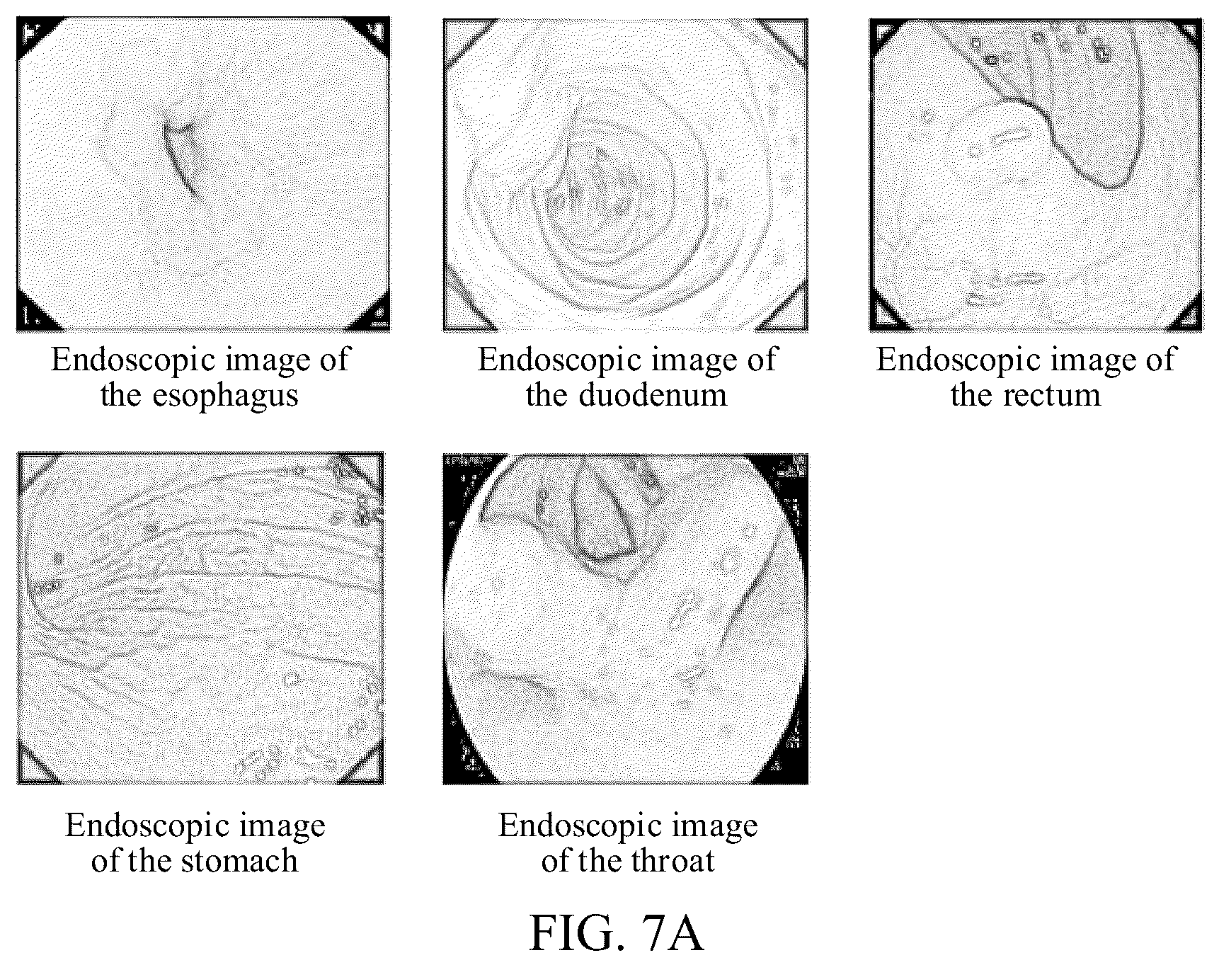 Patent US12437507 Figure 7 – Image analysis method, image analysis apparatus, and image analysis system