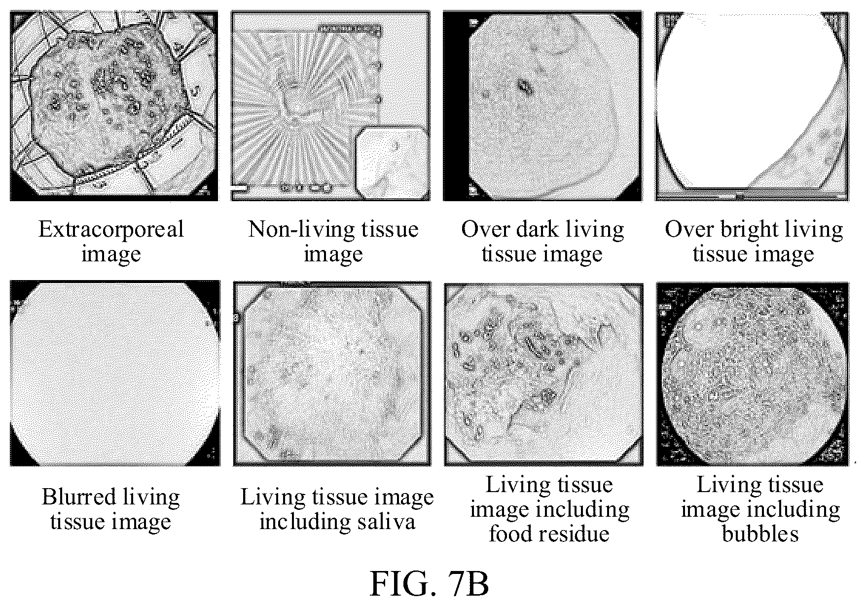 Patent US12437507 Figure 8 – Image analysis method, image analysis apparatus, and image analysis system