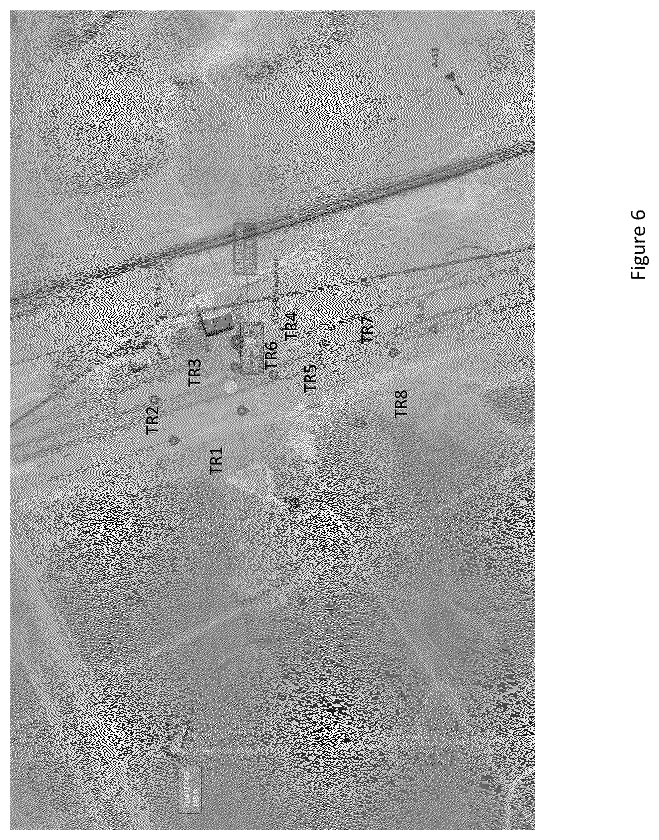 Patent US12437652 Figure 8 – Aerial vehicle detection system
