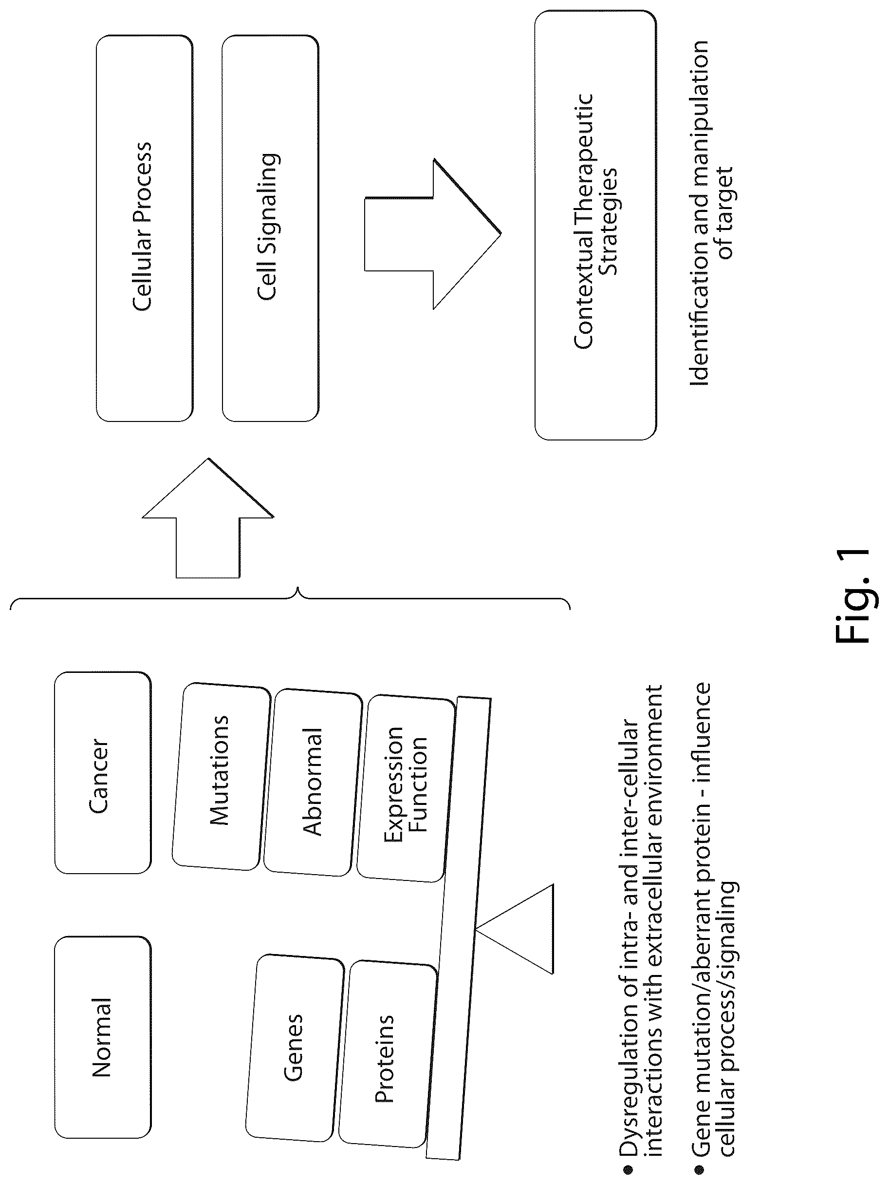 Patent US12437835 Figure 1 – Interrogatory cell-based assays and uses thereof