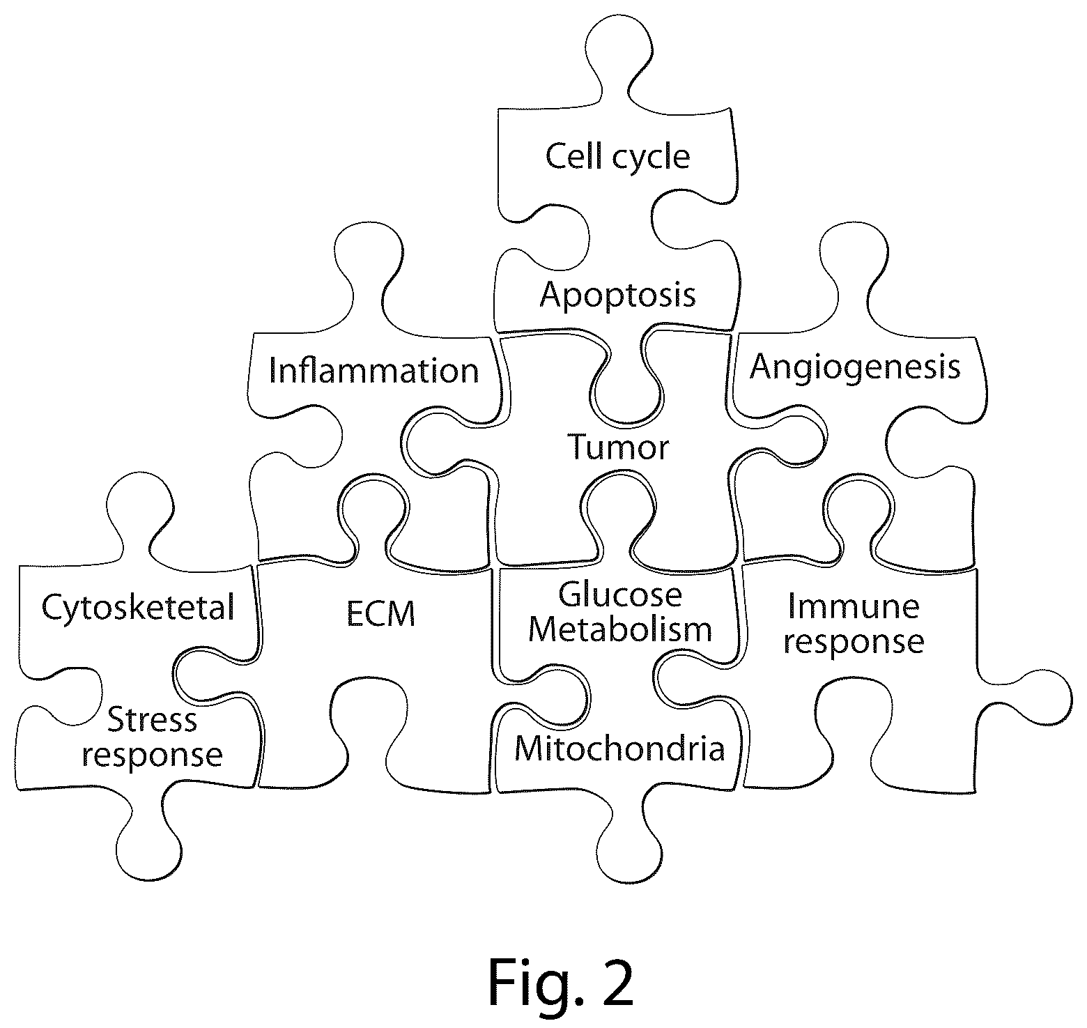 Patent US12437835 Figure 2 – Interrogatory cell-based assays and uses thereof