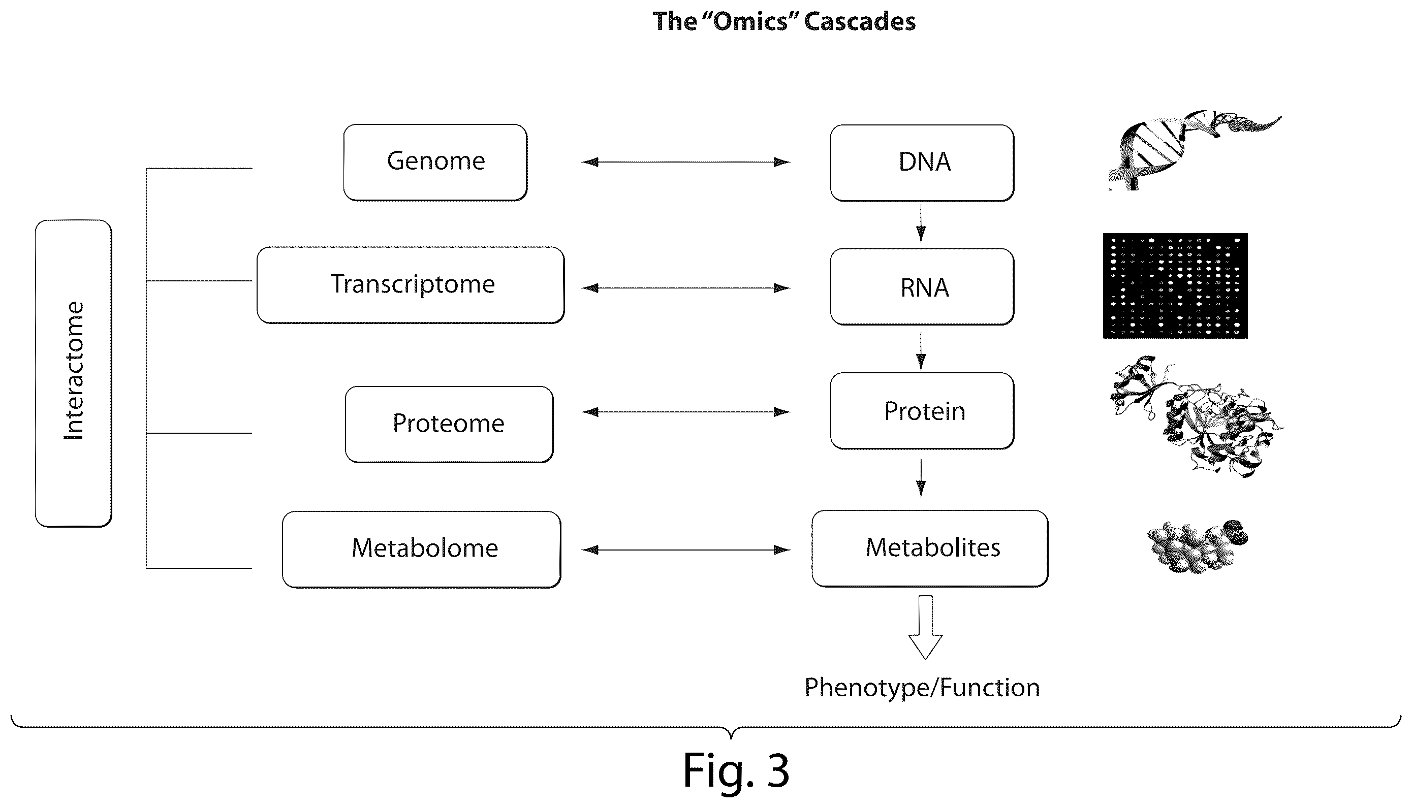 Patent US12437835 Figure 3 – Interrogatory cell-based assays and uses thereof