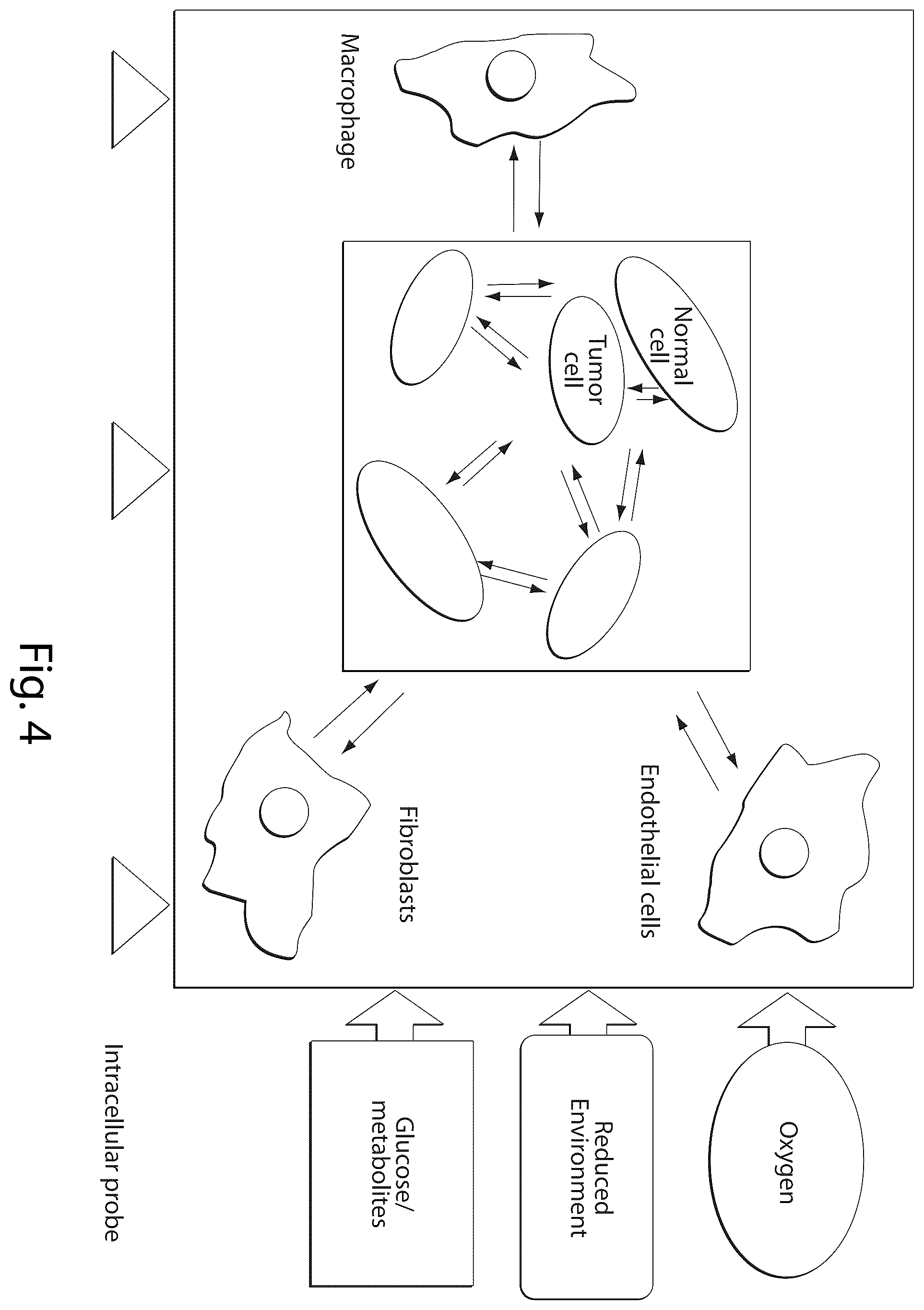 Patent US12437835 Figure 4 – Interrogatory cell-based assays and uses thereof