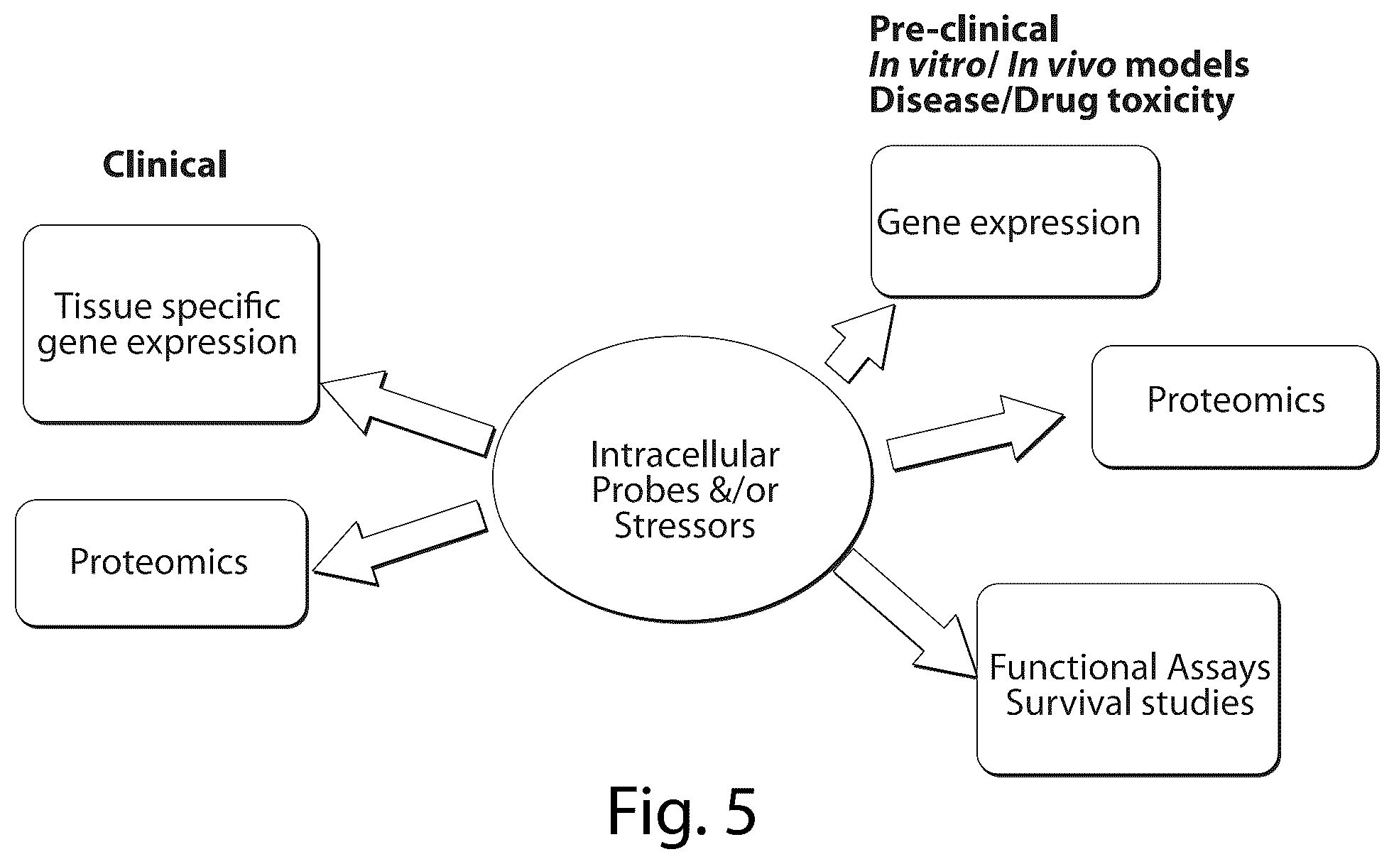 Patent US12437835 Figure 5 – Interrogatory cell-based assays and uses thereof