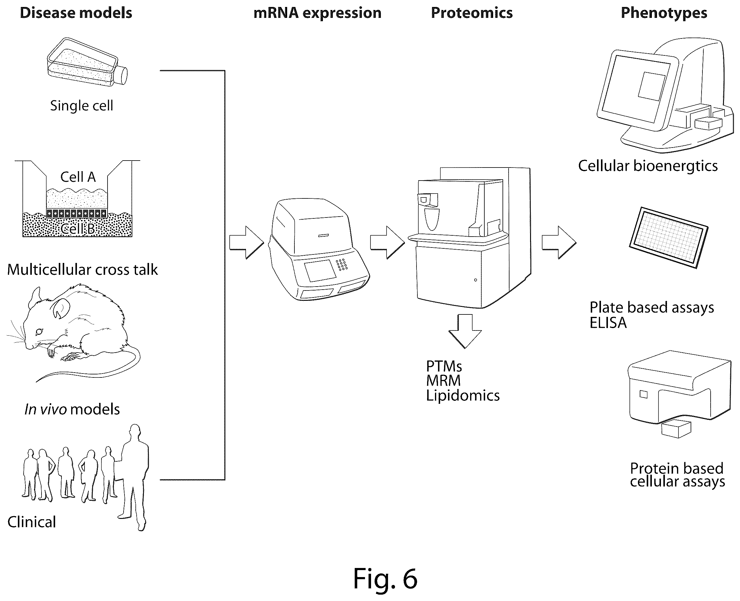 Patent US12437835 Figure 6 – Interrogatory cell-based assays and uses thereof