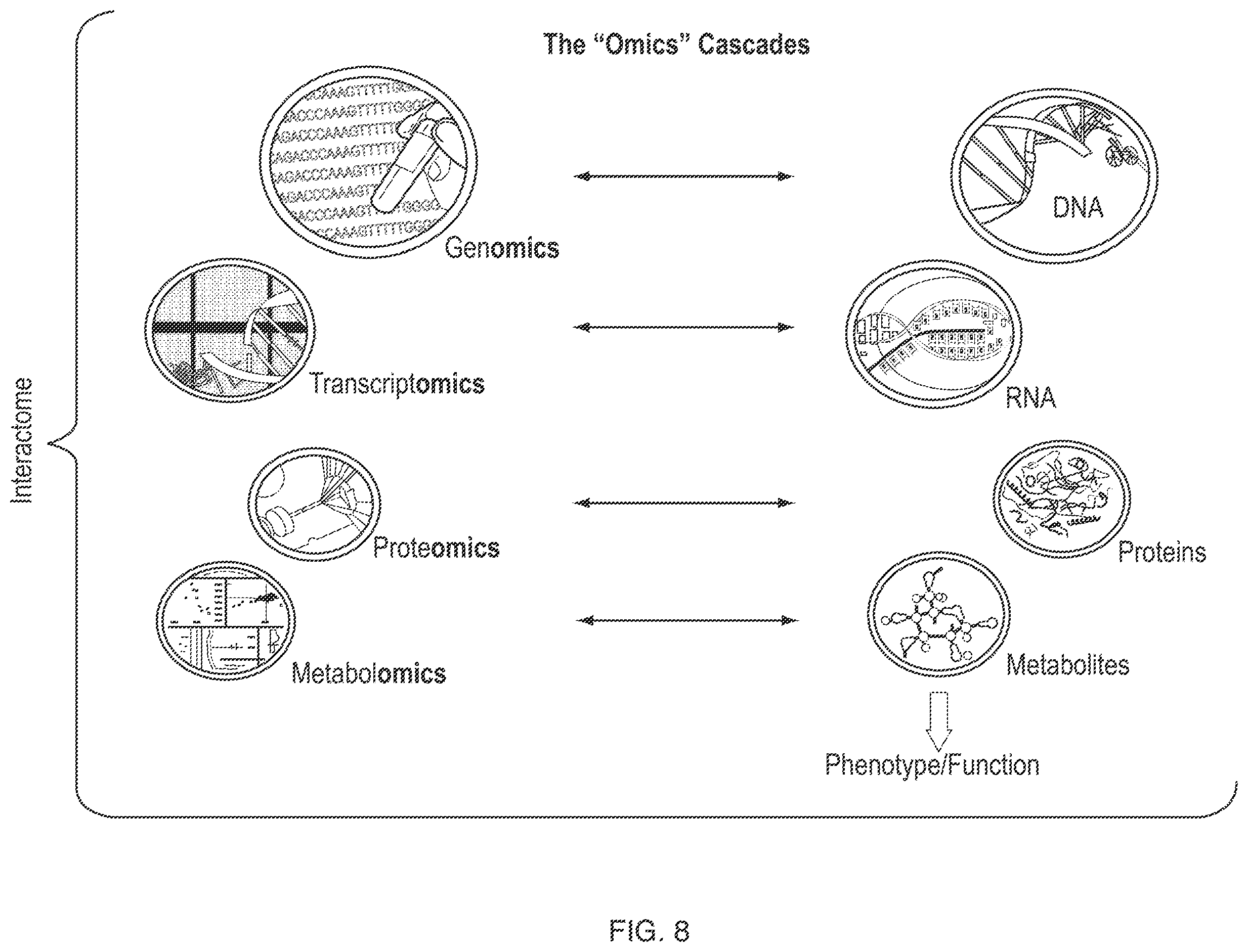 Patent US12437835 Figure 8 – Interrogatory cell-based assays and uses thereof