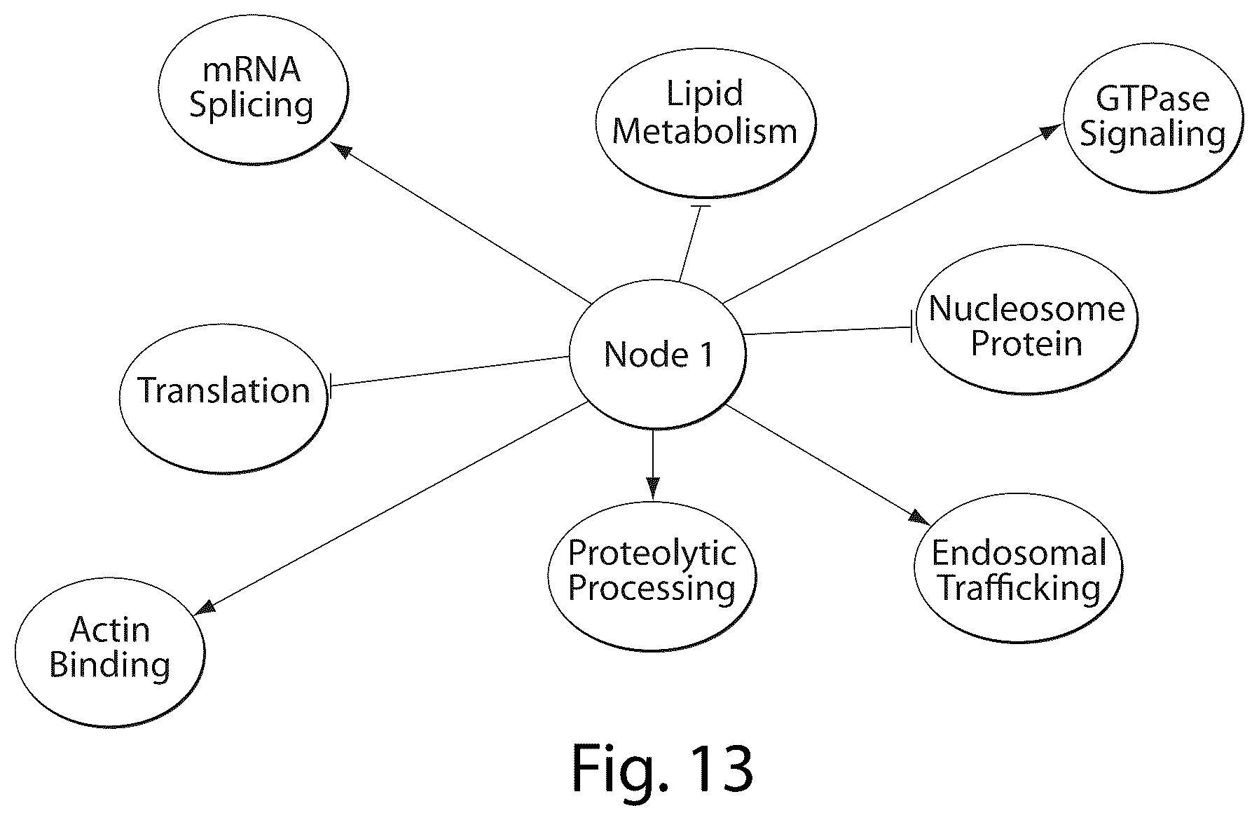 Patent US12437835 Figure 13 – Interrogatory cell-based assays and uses thereof