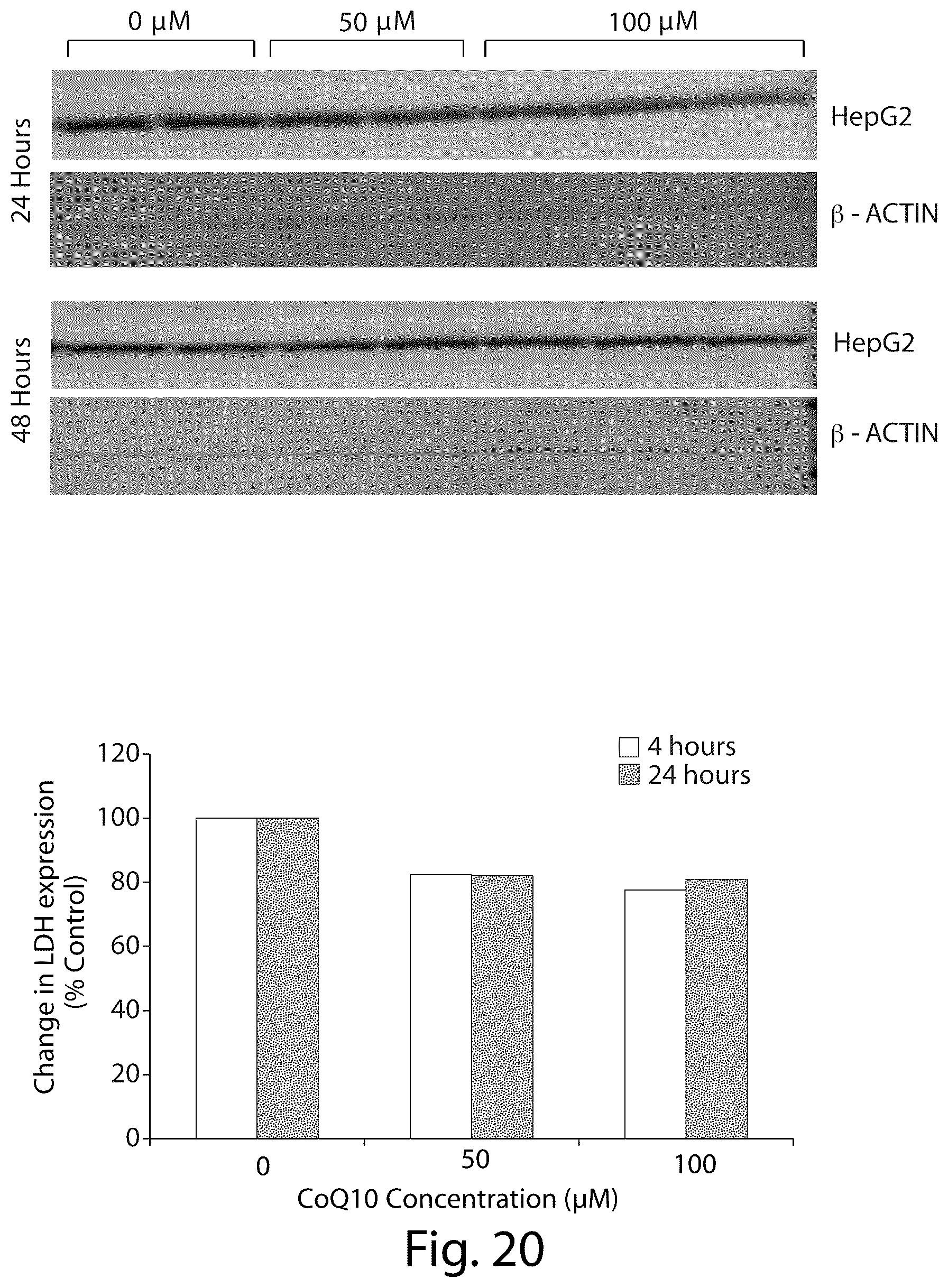 Patent US12437835 Figure 20 – Interrogatory cell-based assays and uses thereof