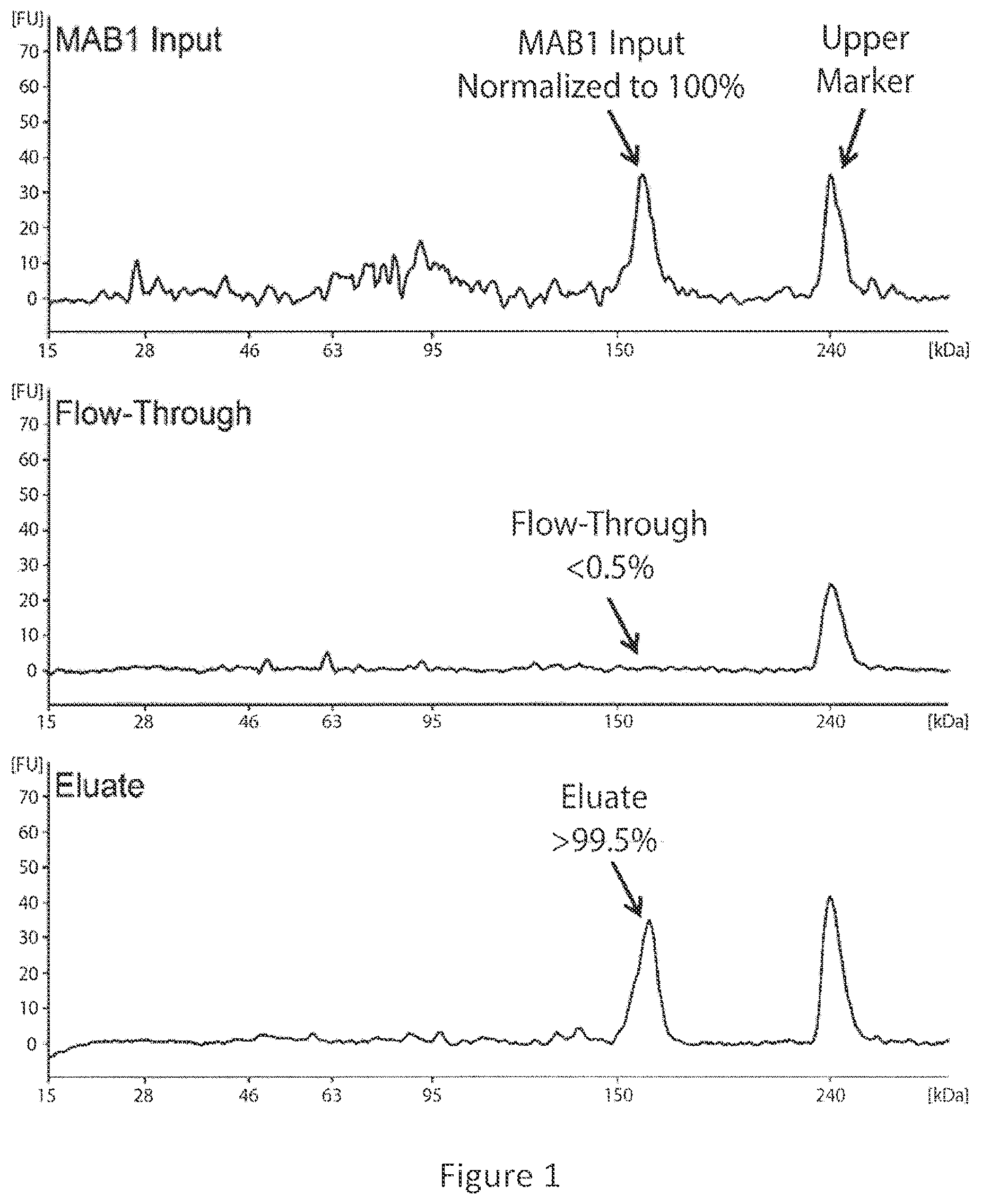 Patent US12437836 Figure 1 – Quantitation and modeling of quality attributes of therapeutic monoclonal antibodies