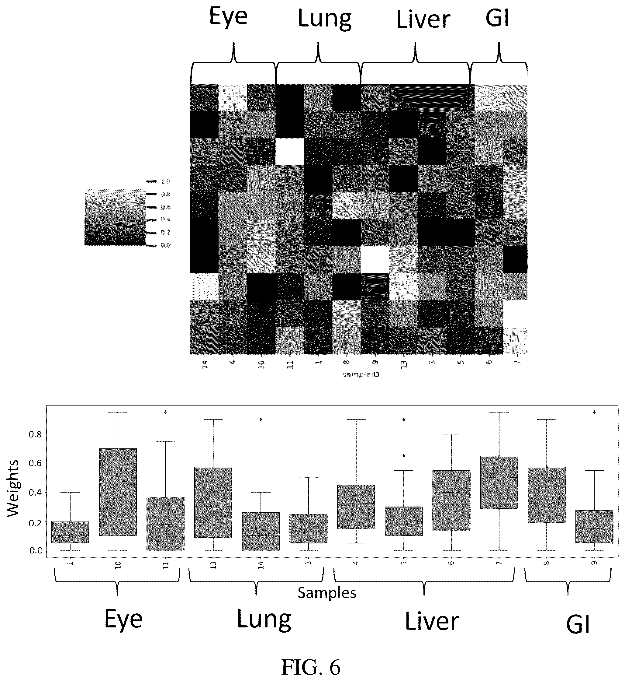 Patent US12437840 Figure 6 – Determining cell, tissue, or lesion representations in cell-free DNA