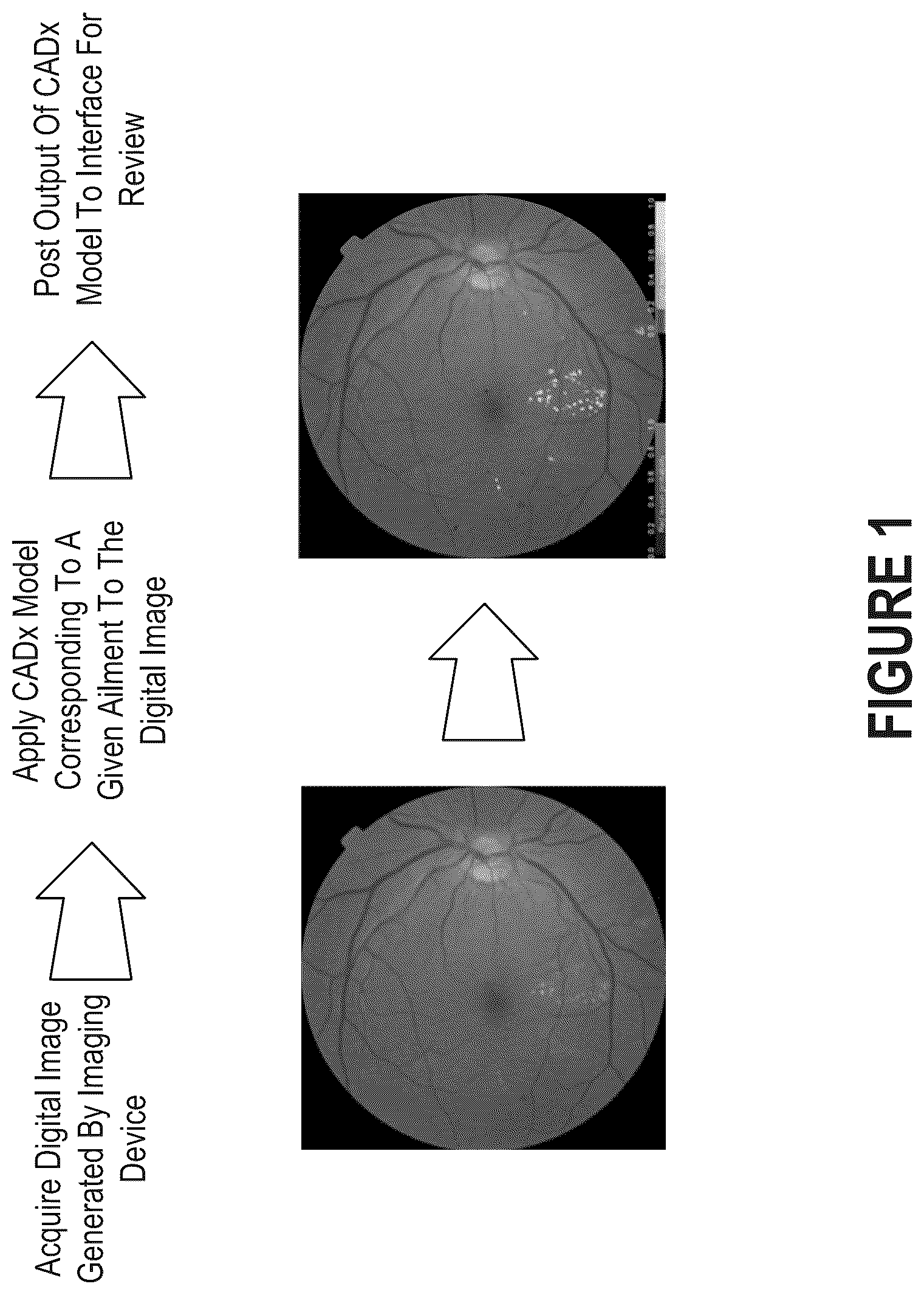 Patent US12437860 Figure 1 – Detection, identification, and verification of patients involved in diagnostic sessions