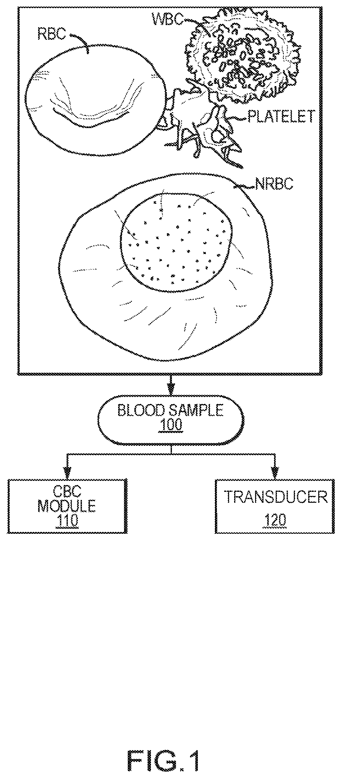 Patent US12437873 Figure 1 – Infection detection and differentiation systems and methods