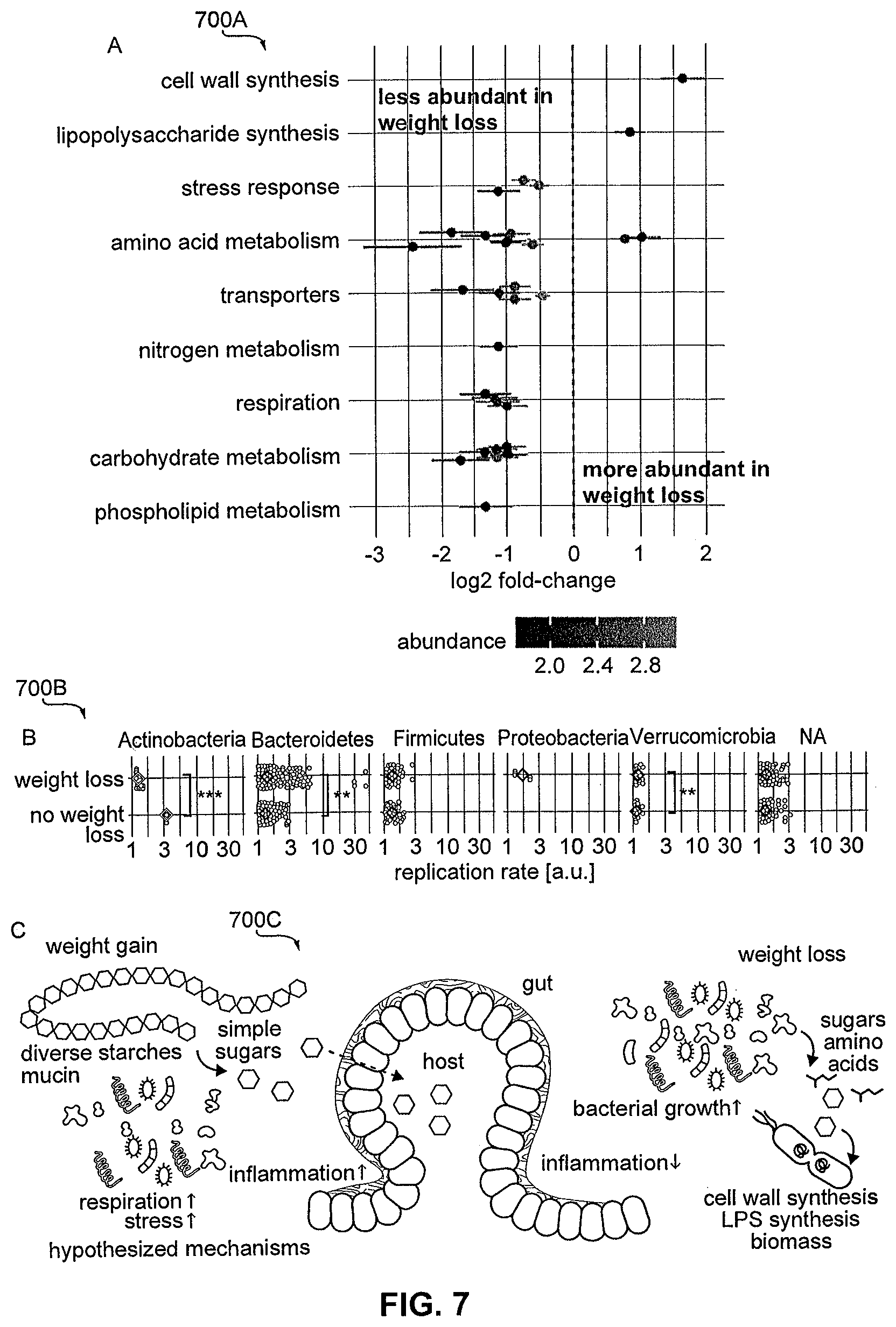 Patent US12437877 Figure 7 – Weight loss potential prediction from gut microbiome data