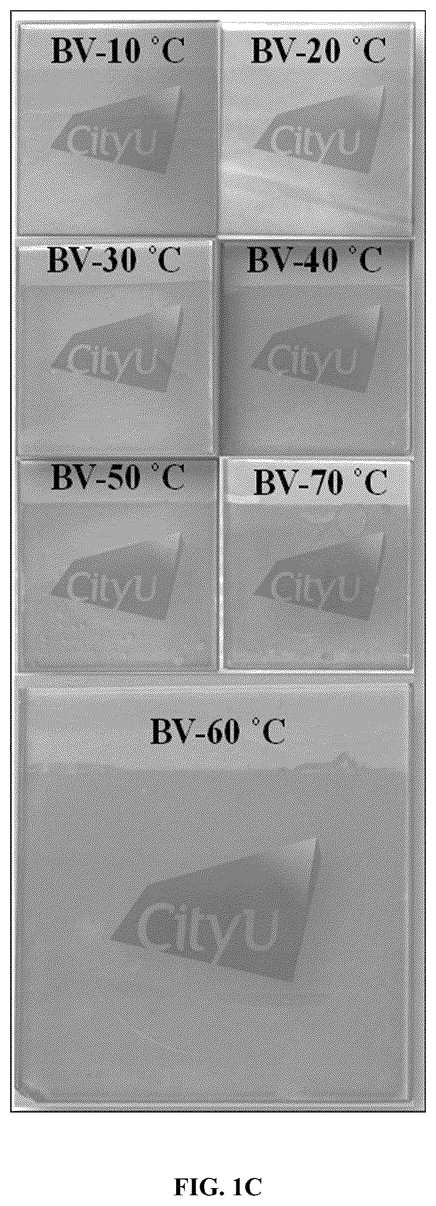 Patent US12437933 Figure 3 – Controlled heating rate baking protocol for the synthesis of bismuth vanadate thin films