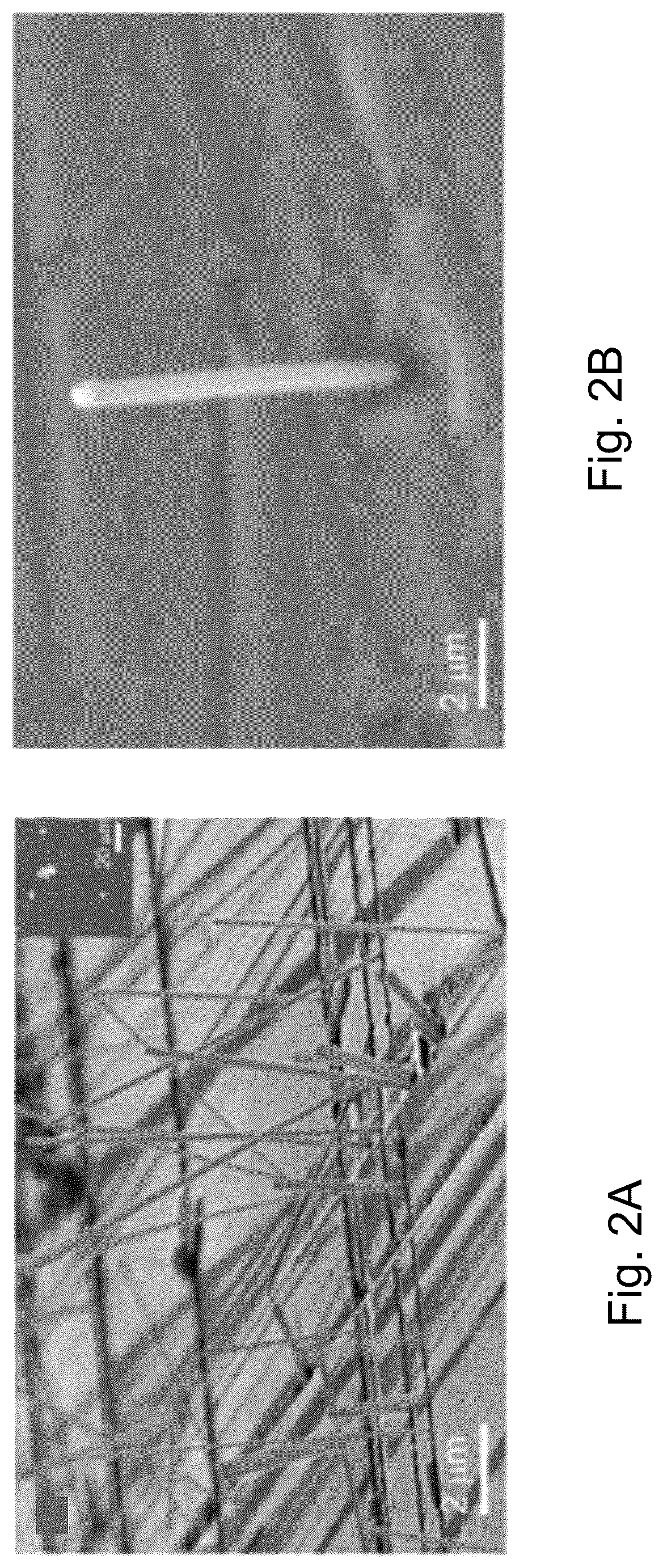 Patent US12437936 Figure 2 – Halide perovskite, its fabrication and use the same