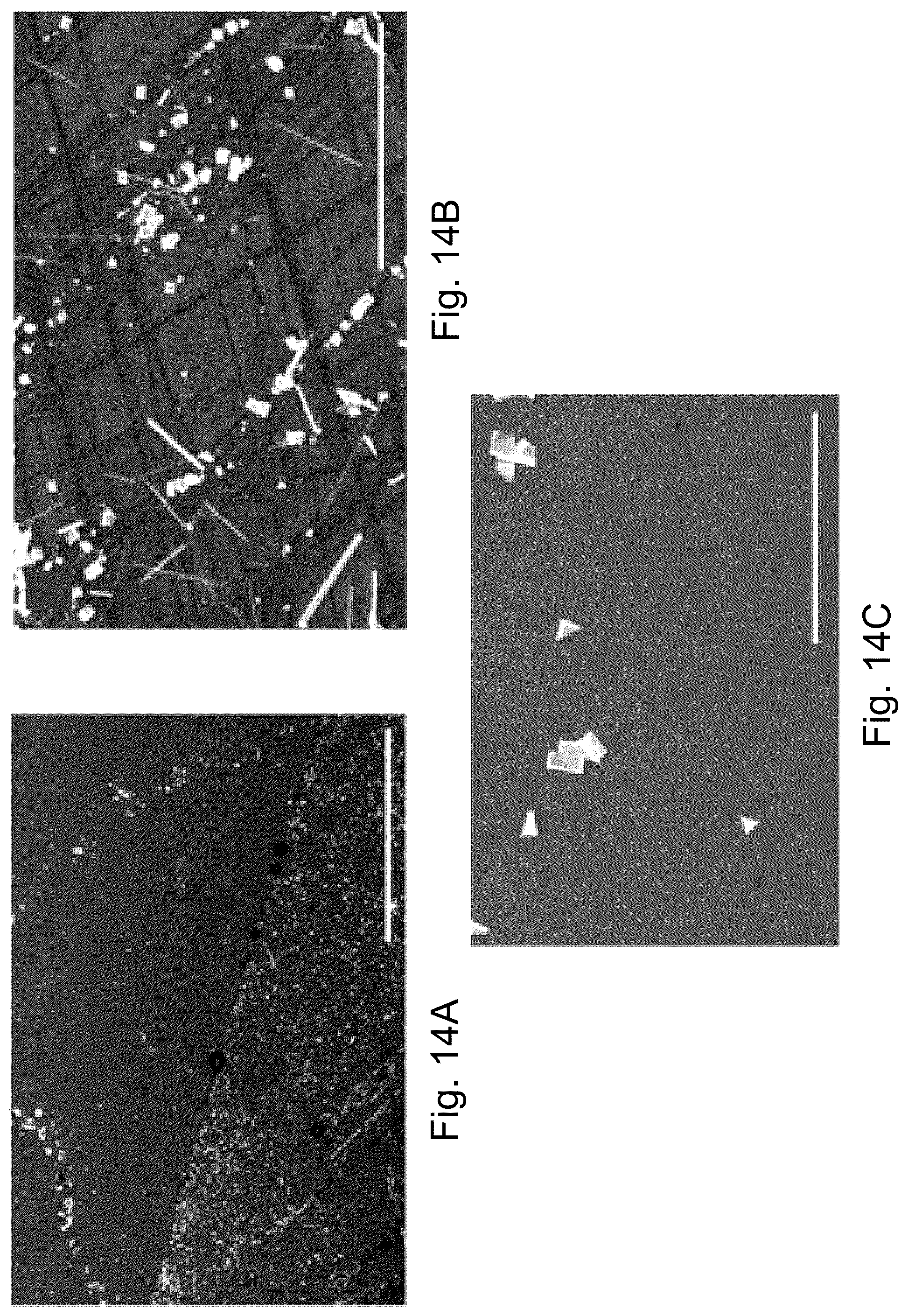 Patent US12437936 Figure 16 – Halide perovskite, its fabrication and use the same