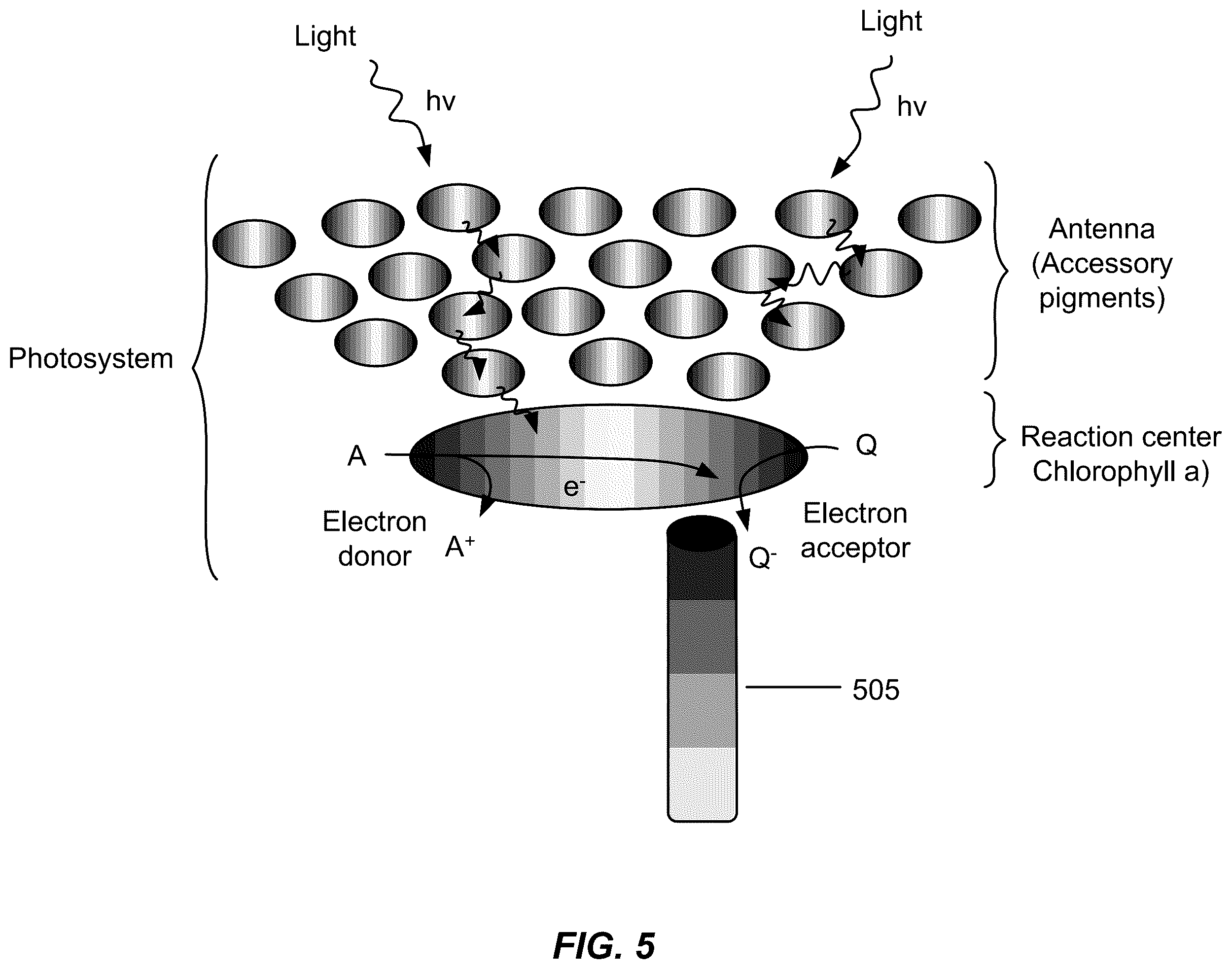 Patent US12437937 Figure 8 – Biochemical energy conversion cell